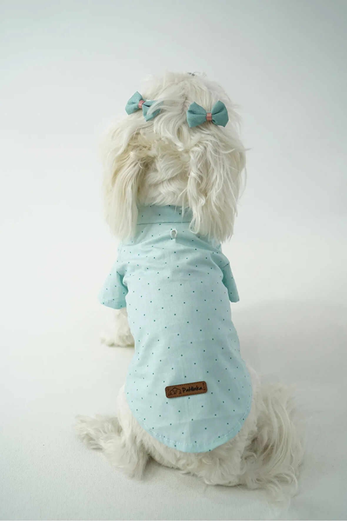 Patilinka Kedi Köpek Yazlık Kıyafet – Mint Yeşili Poplin Tişört