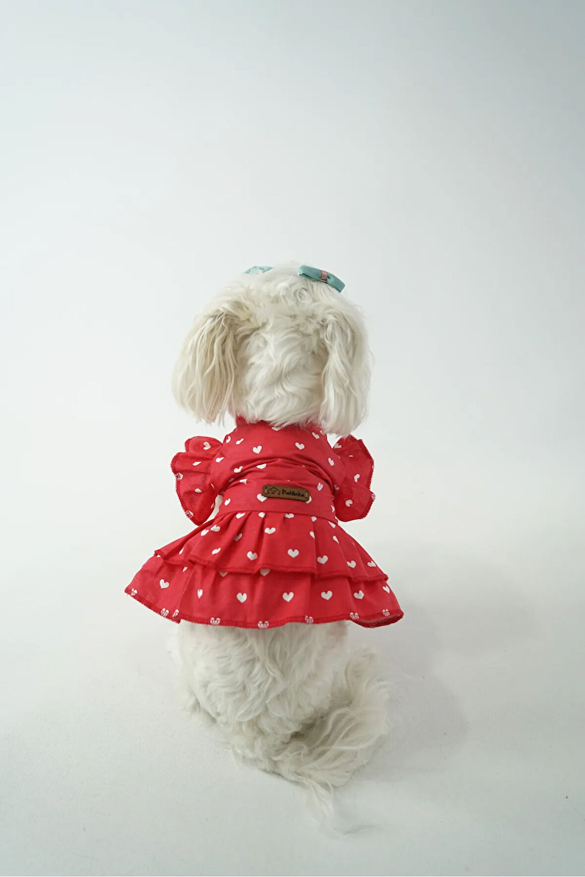 Patilinka Kedi Köpek Yazlık Kıyafet – Kalpli Kırmızı Fırfırlı Poplin Elbise