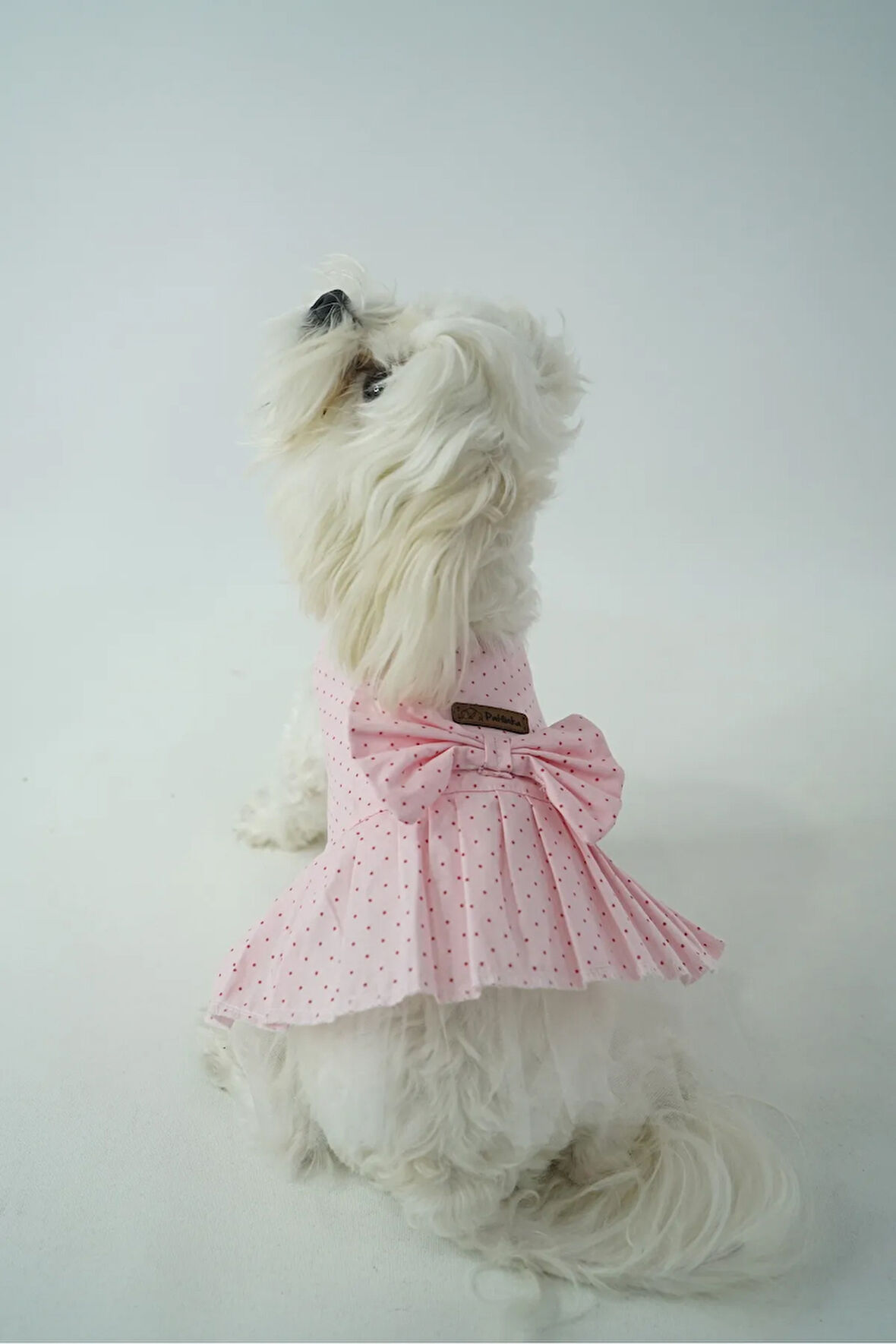 Patilinka Kedi Köpek Yazlık Kıyafet – Puantiyeli Pembe Fiyonklu Poplin Elbise