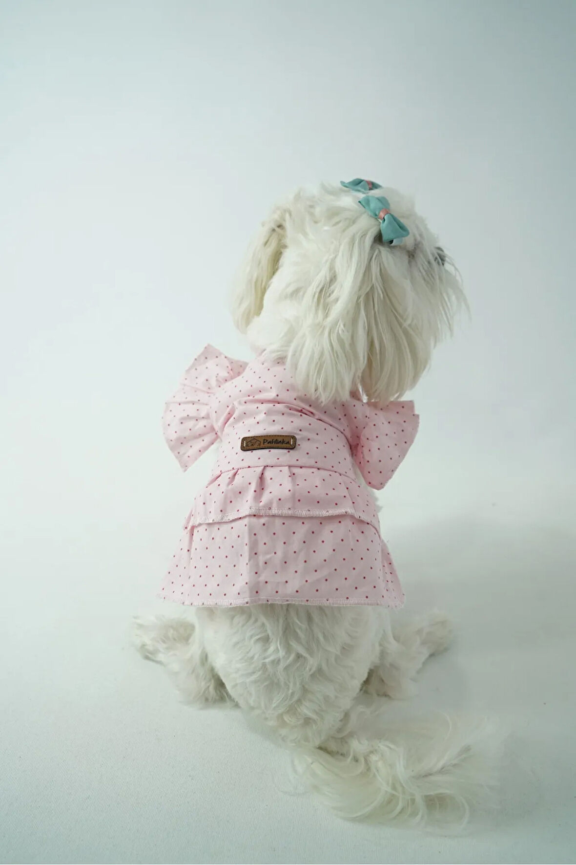 Patilinka Kedi Köpek Yazlık Kıyafet – Pembe Puantiyeli Fırfırlı Poplin Elbise
