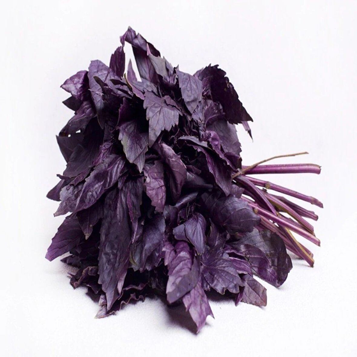 Red Basil Boza Kırmızı Tatlı Fesleğen Tohumu (100 tohum)