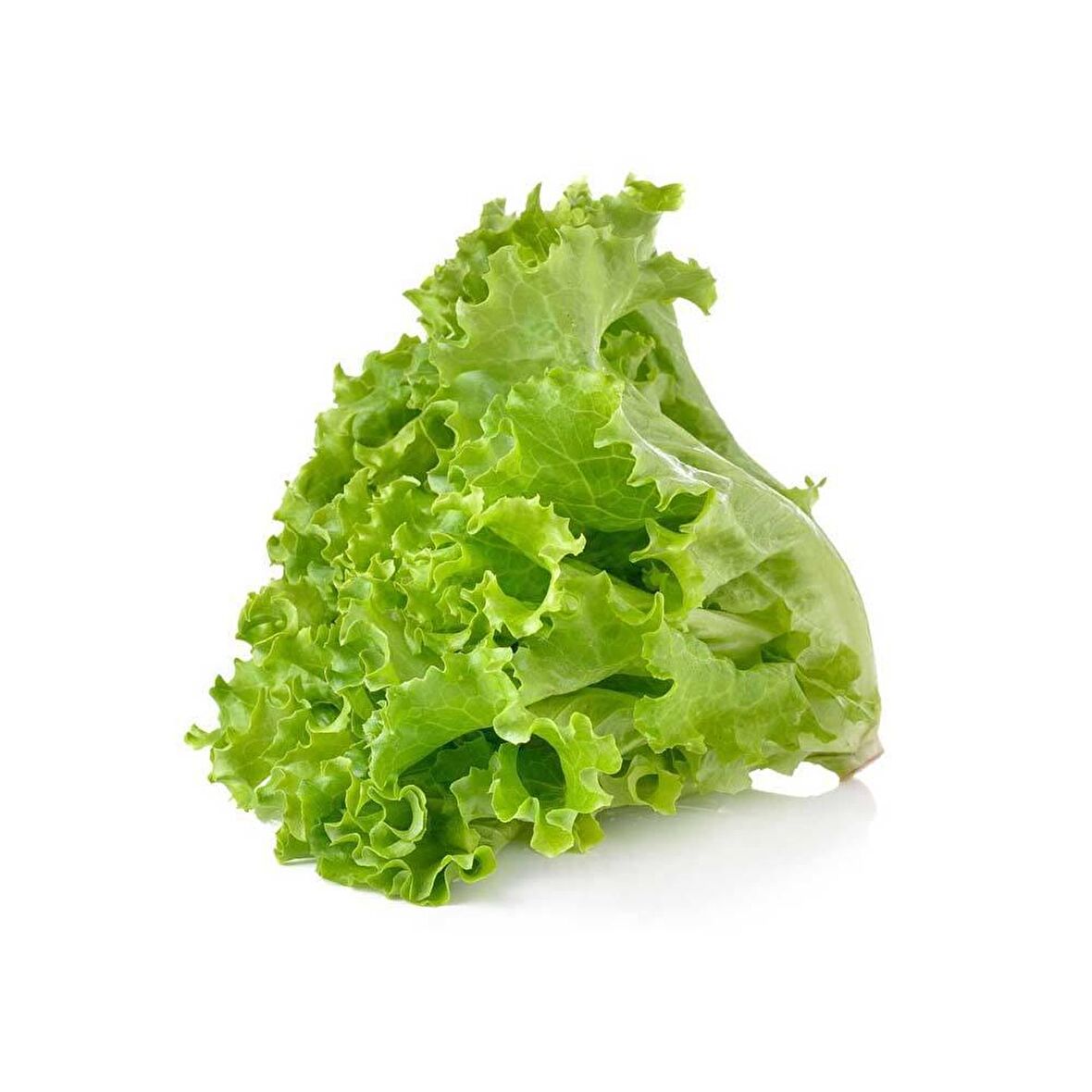 Doğal Waldman's Green Marul Tohumu (100 tohum)