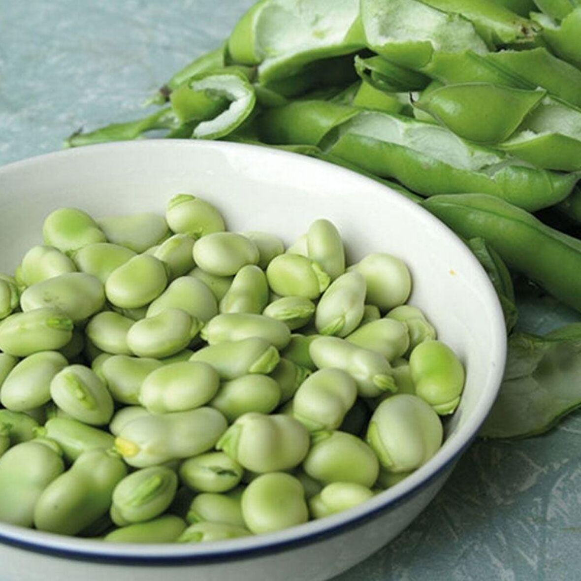 Geleneksel Verimli Erkenci Sakız Bakla Tohumu (50 gr)
