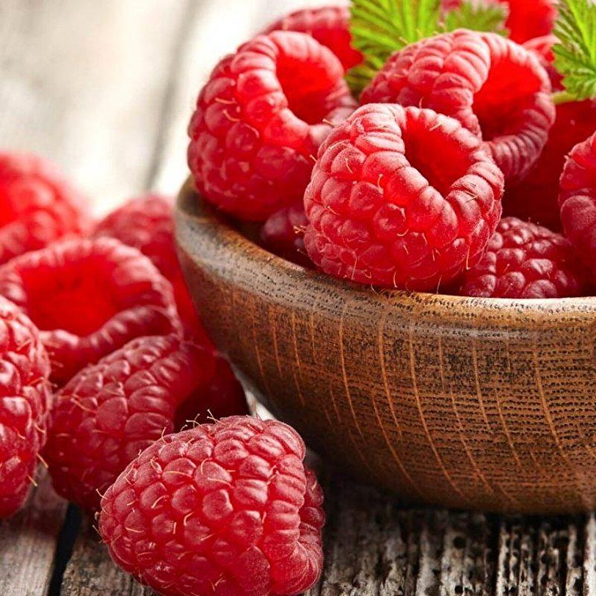 Tüplü Aromalı Verimli Heritage Yediveren Ahududu Fidanı