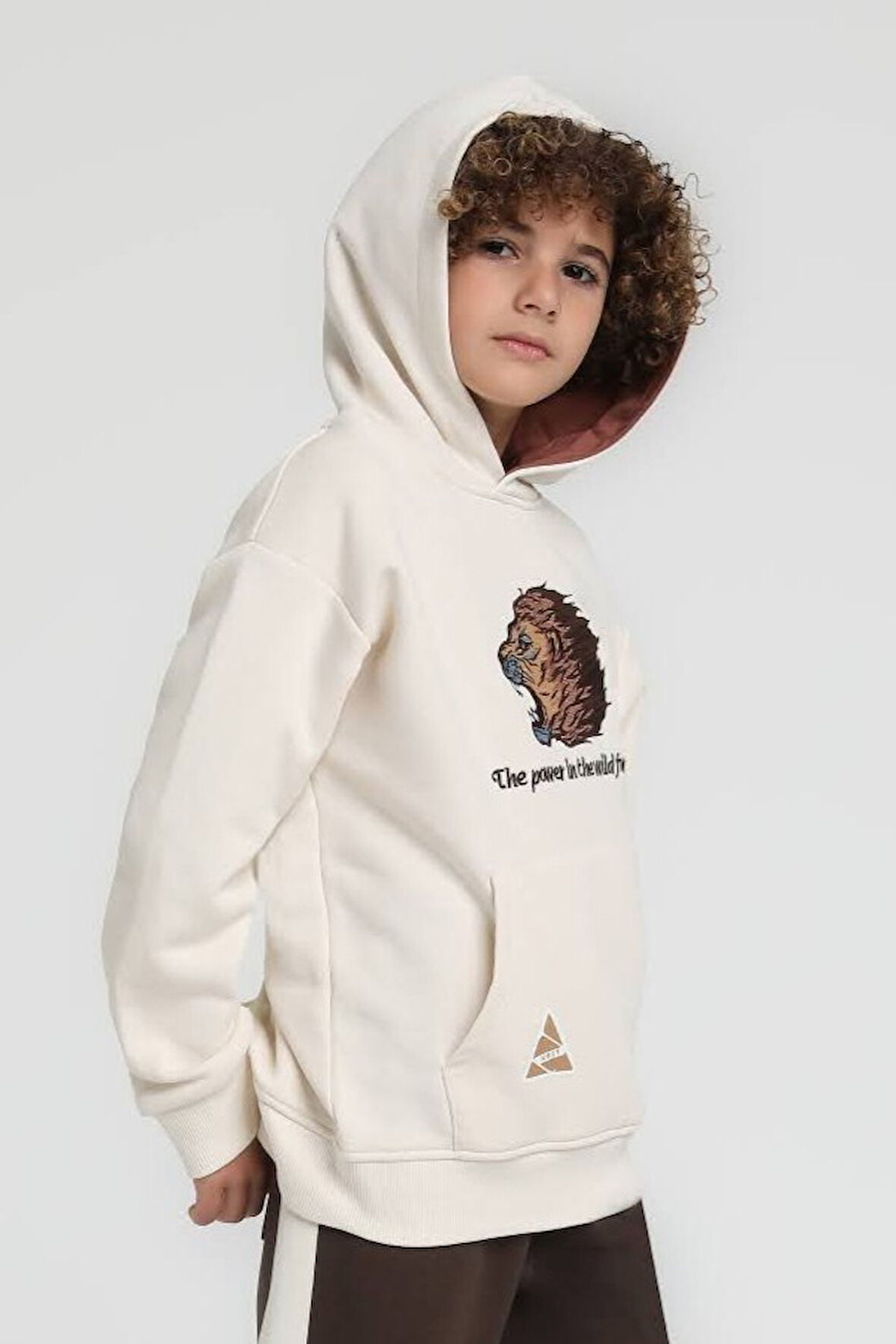 Erkek Çocuk Sweatşirt 4-8 Yaş 1859