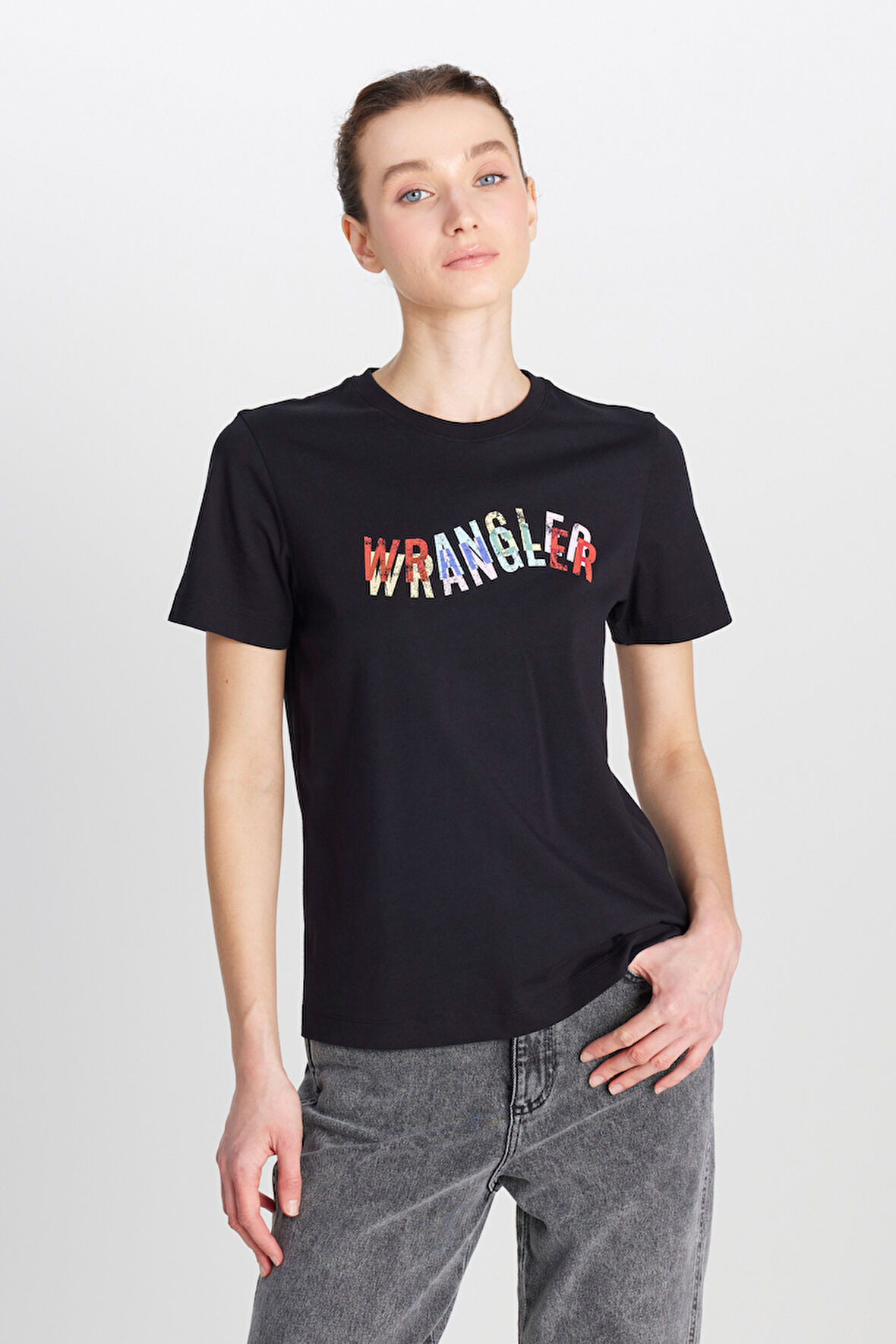 %100 Pamuk Regular Fit Normal Kesim Bisiklet Yaka Siyah Tişört