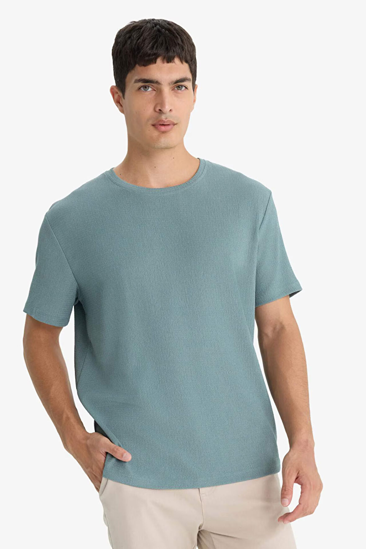 Regular Fit Bisiklet Yaka Kısa Kollu Tişört