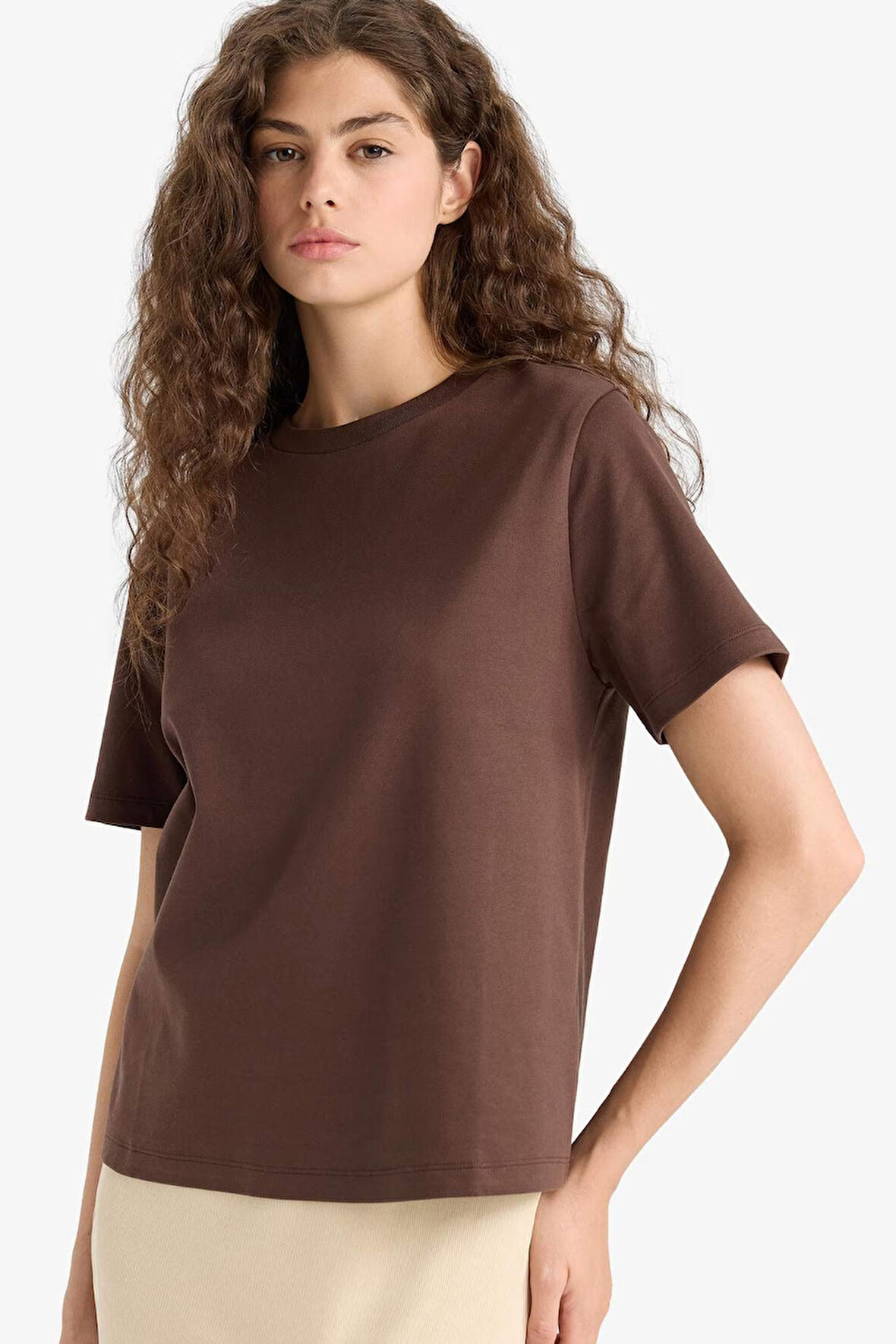 Regular Fit Bisiklet Yaka Kısa Kollu Tişört