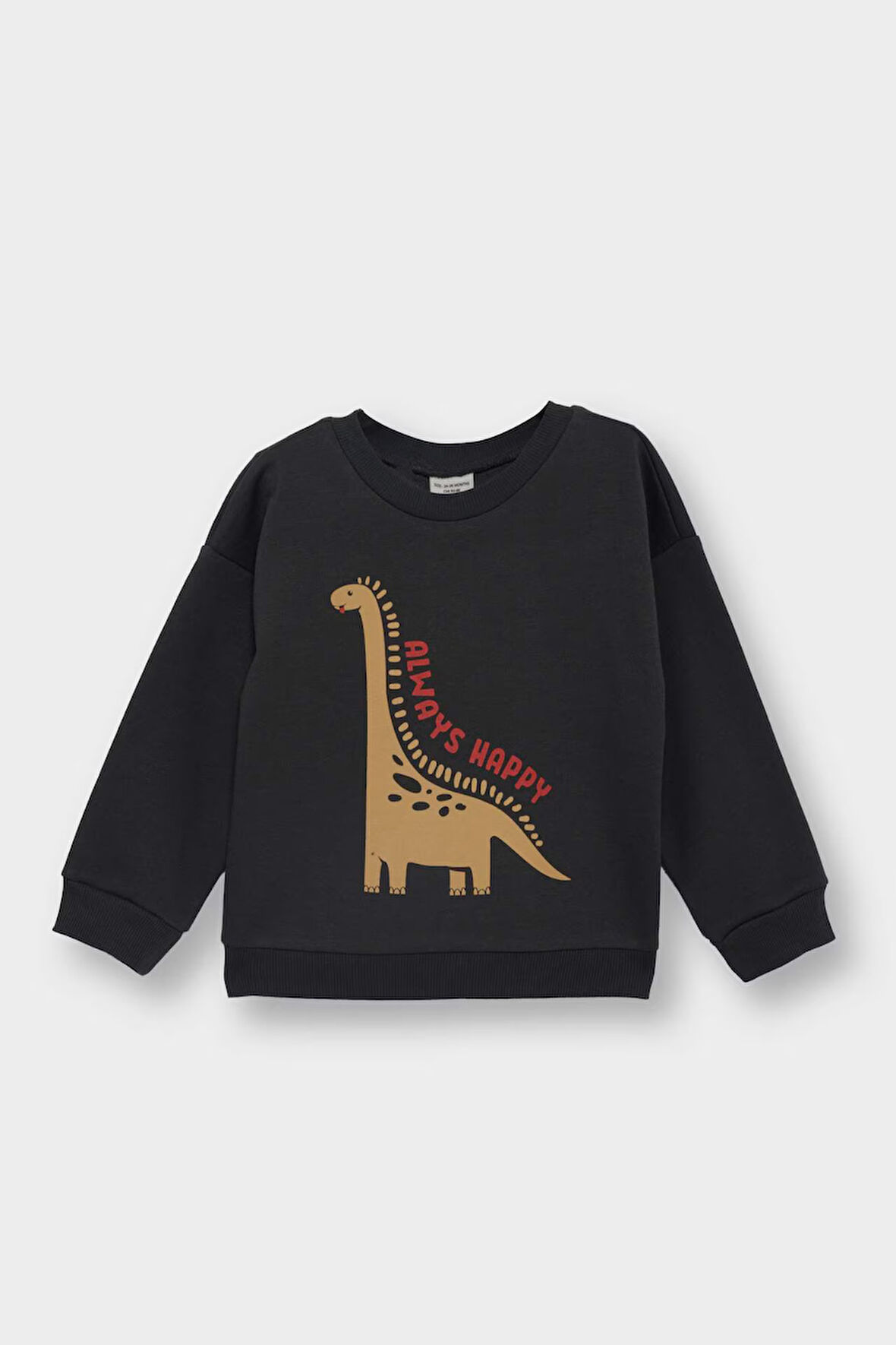 Erkek Bebek Bisiklet Yaka Dinozor Baskılı İçi Yumuşak Tüylü Sweatshirt