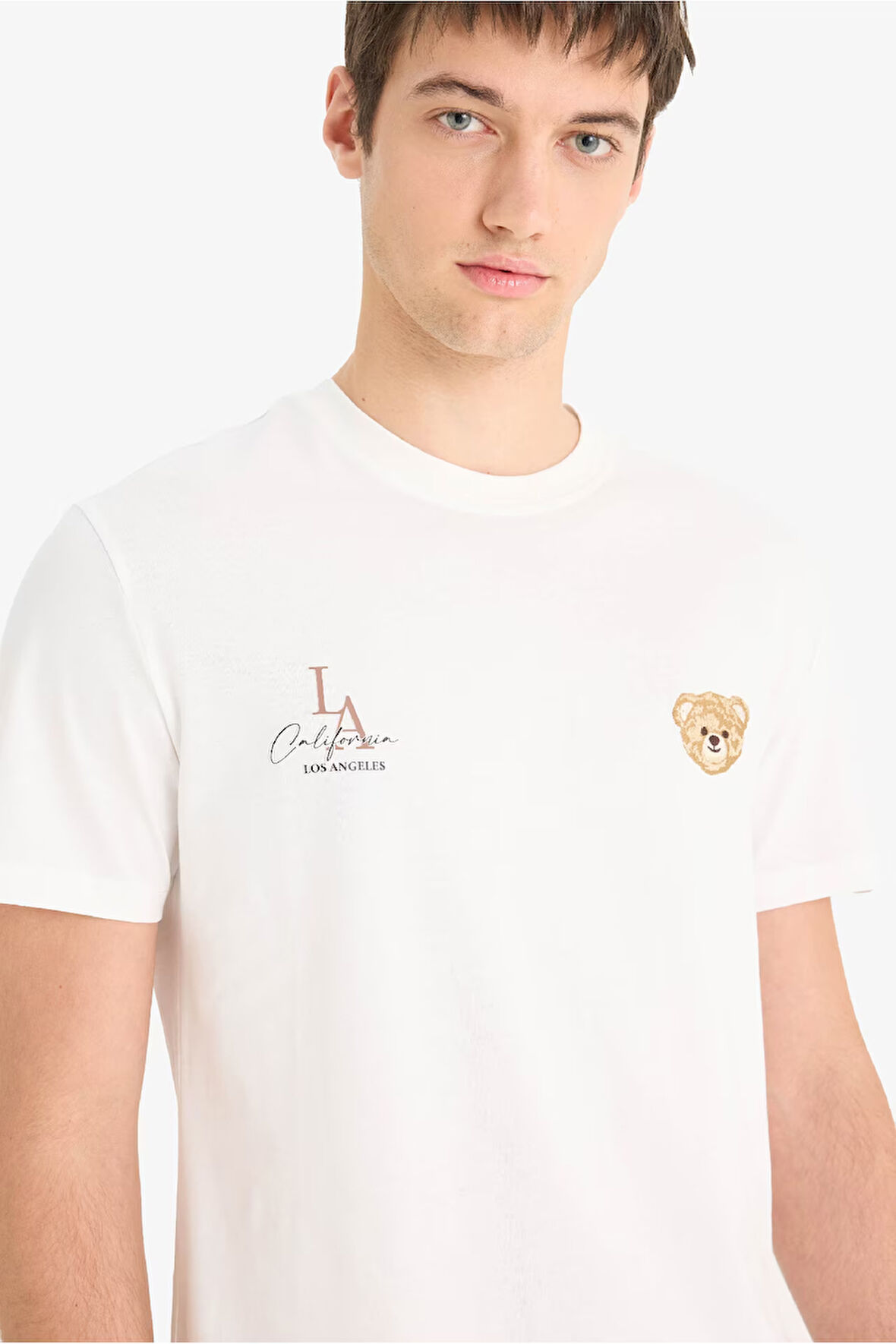 DeFacto %100 Pamuk Regular Fit Bisiklet Yaka Baskılı Kısa Kollu Tişört F4286AX25SMER105