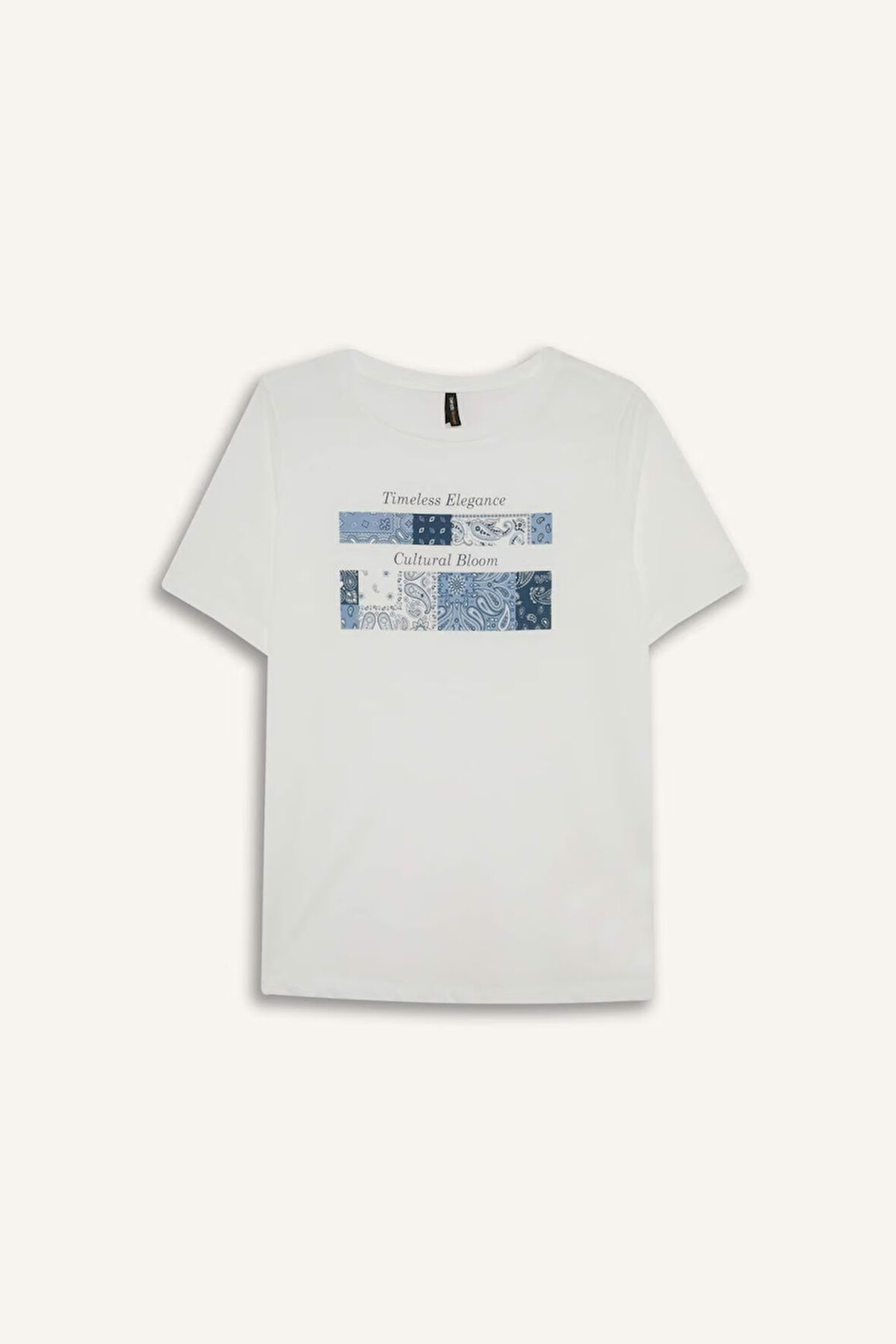 Regular Fit Bisiklet Yaka Kısa Kollu Tişört