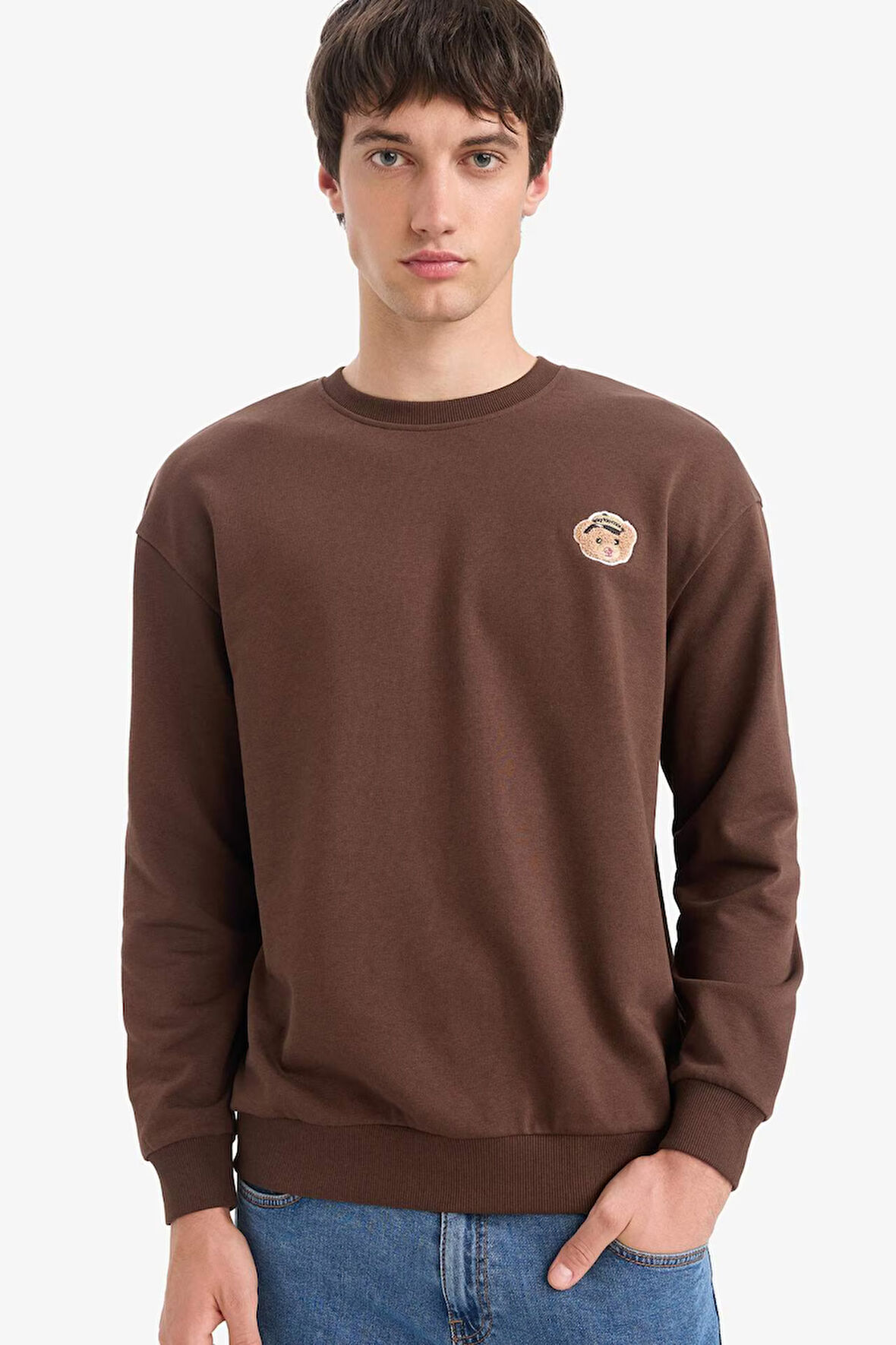 Boxy Fit Bisiklet Yaka Nakışlı Sweatshirt