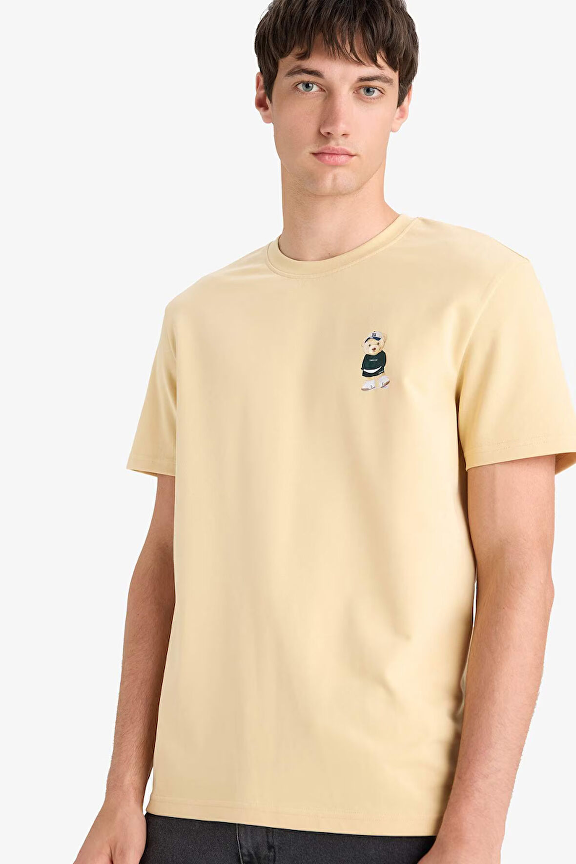 Regular Fit Bisiklet Yaka Baskılı Kısa Kollu Tişört