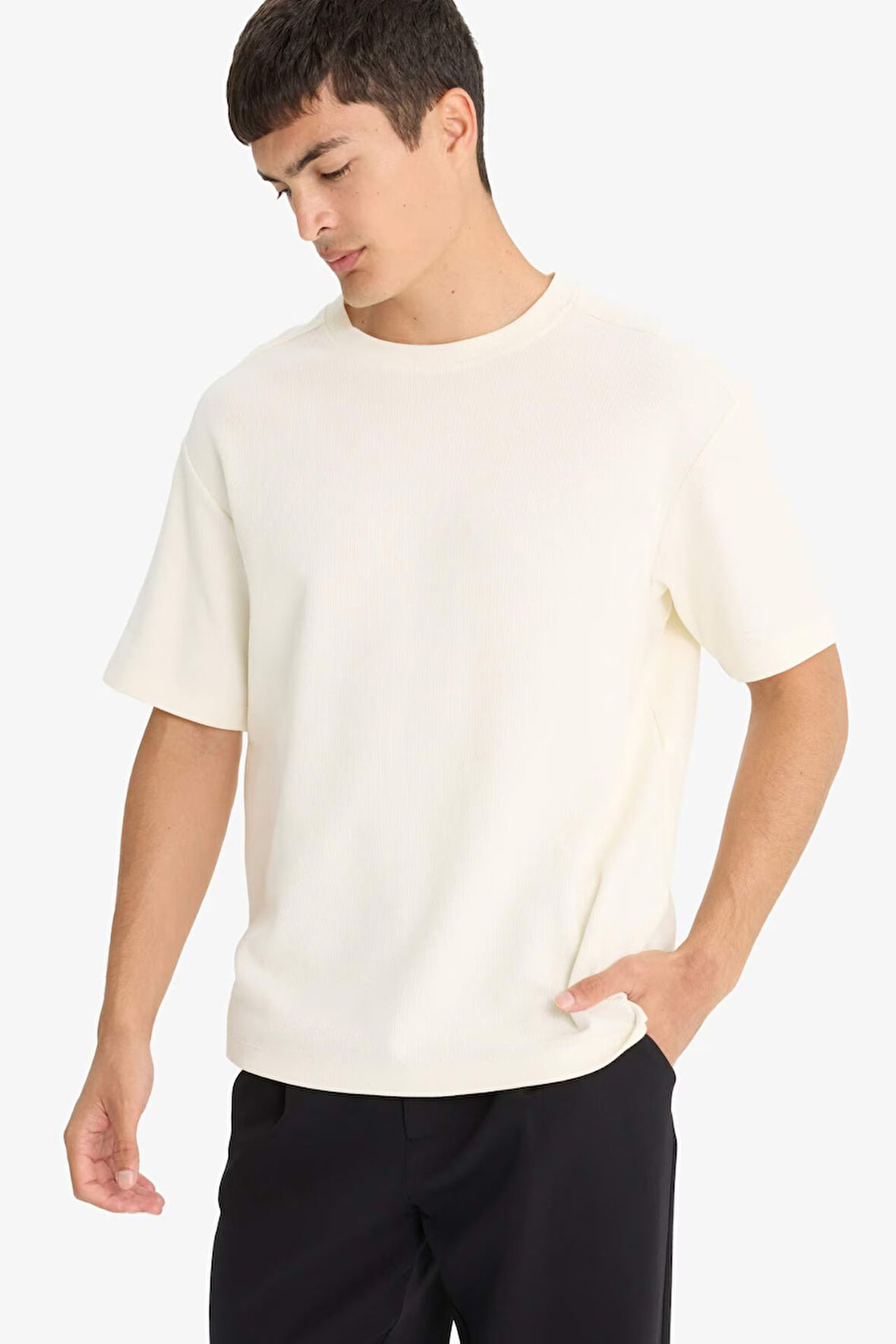 Regular Fit Bisiklet Yaka Kısa Kollu Tişört