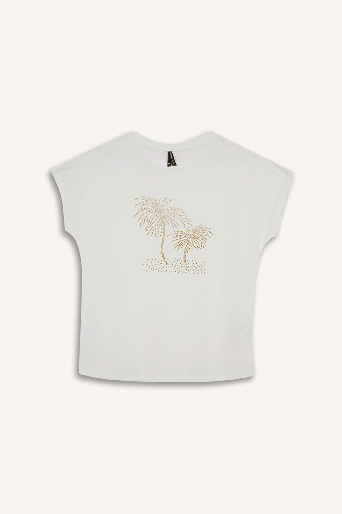 Bisiklet Yaka Taş Baskılı Kısa Kollu Tişört