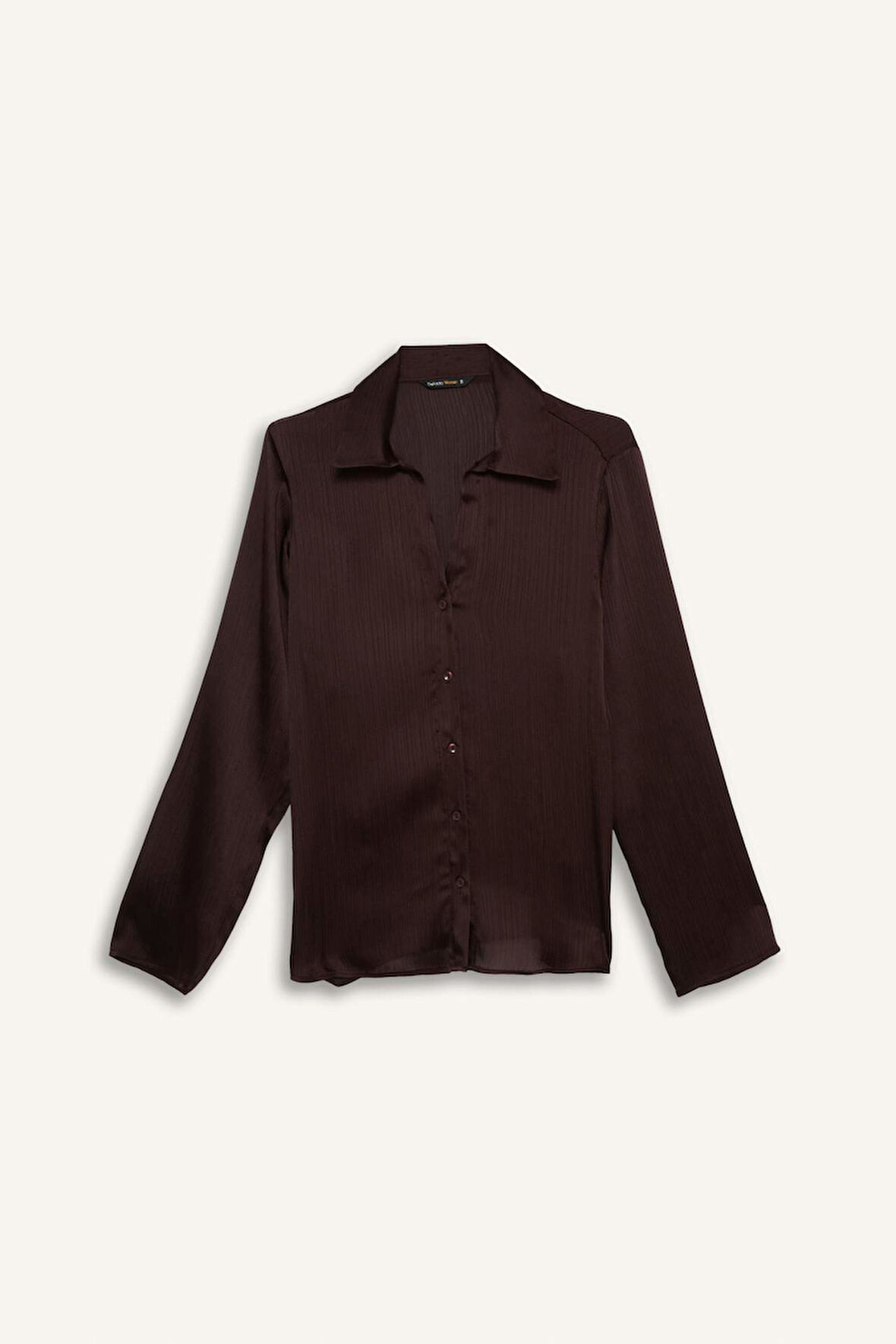 Regular Fit Saten Uzun Kollu Gömlek