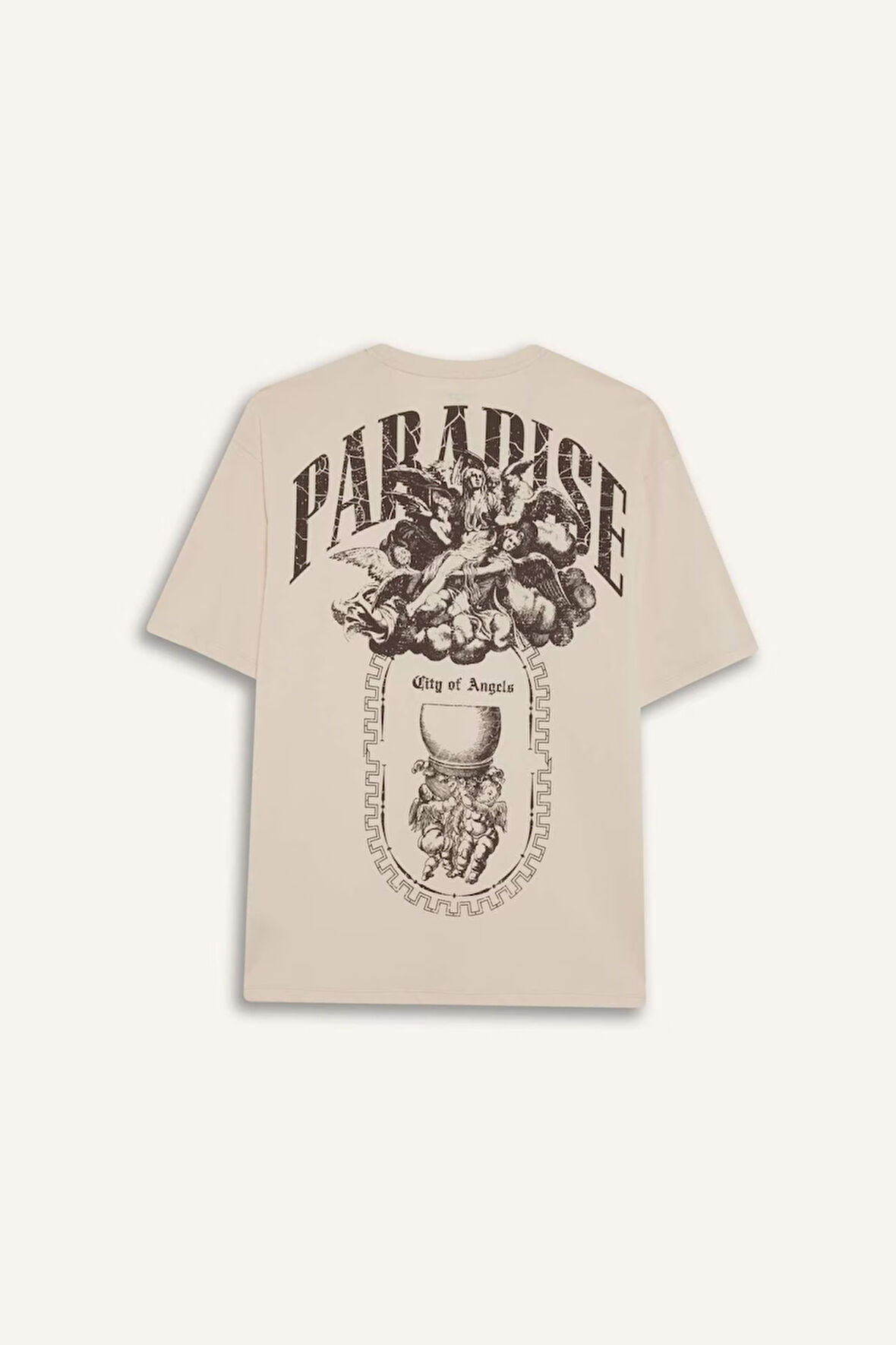 Boxy Fit Bisiklet Yaka Baskılı Kısa Kollu Tişört