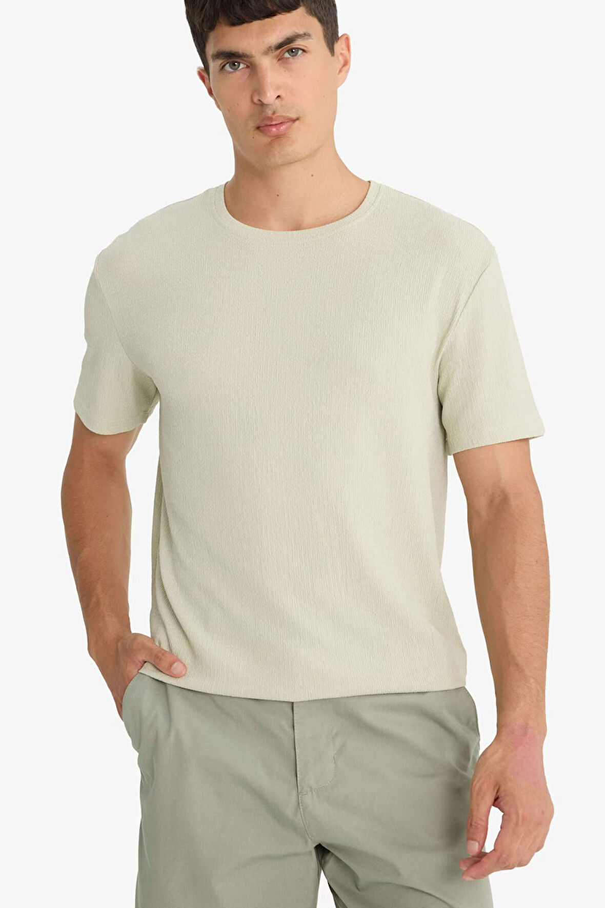 Regular Fit Bisiklet Yaka Kısa Kollu Tişört