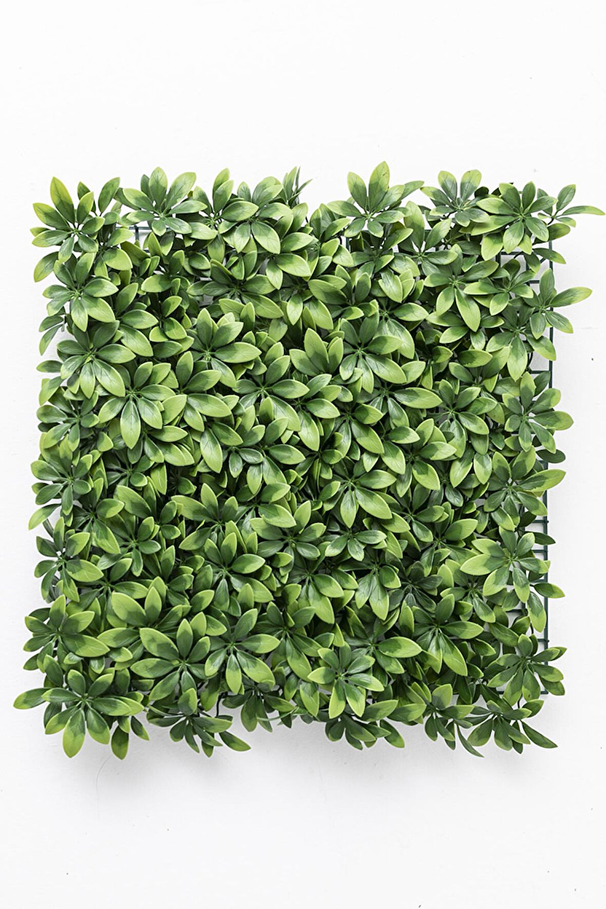 Yapay Duvar Paneli Uv Korumalı Şefrole 50*50
