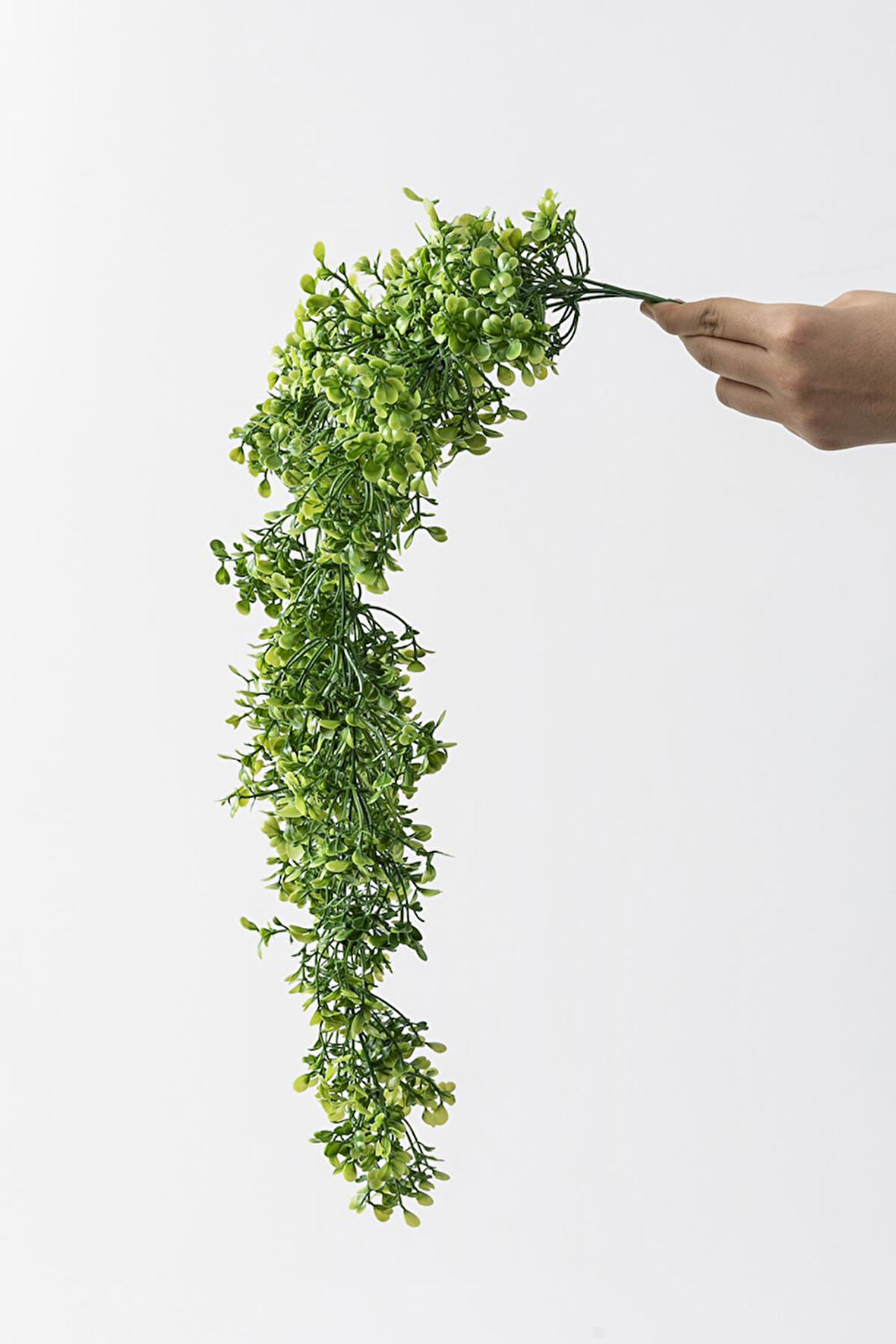 Yapay Sarmaşık Şimşir Uv Korumalı 75 Cm 5 Dal