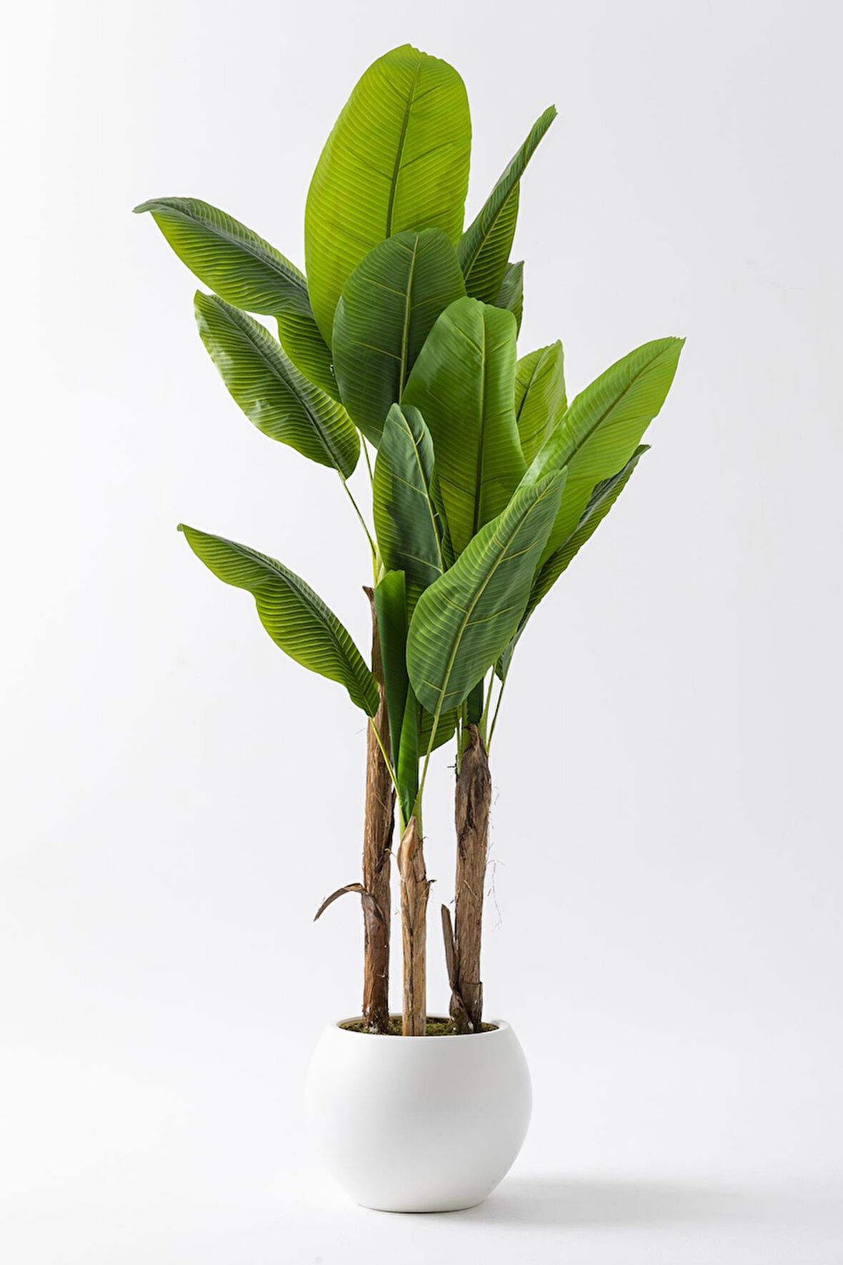 Yapay Muz Ağacı 200 Cm Plastik Küre Saksı