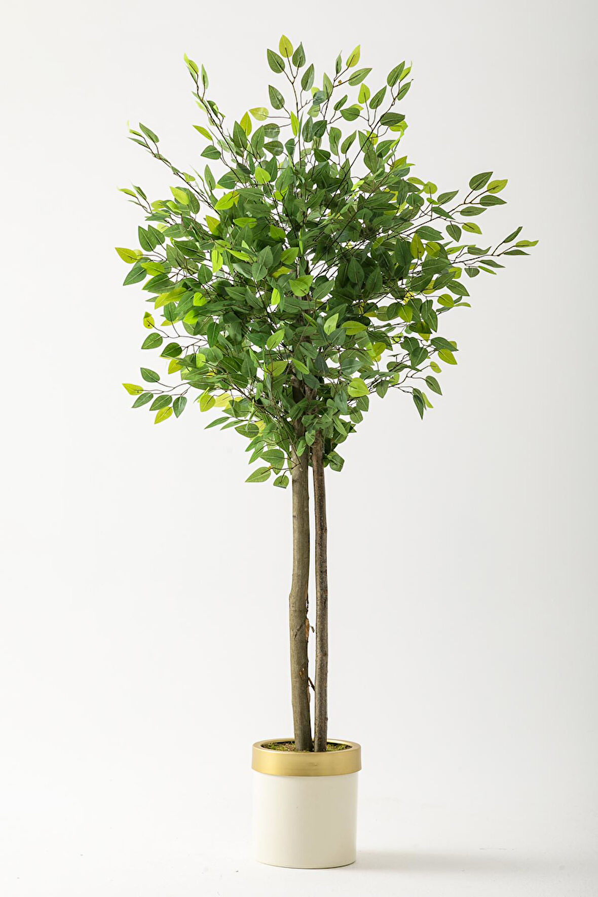Yapay Benjamin Ağacı 160 Cm Krem Gold Metal Saksı