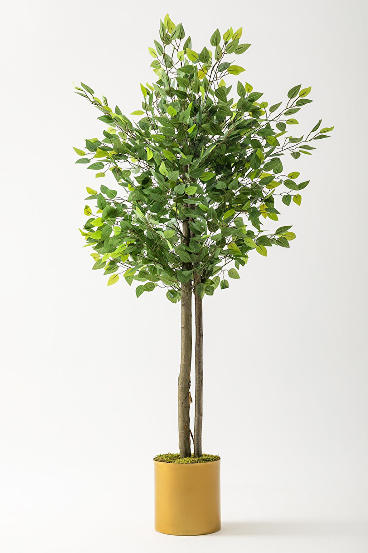 Yapay Benjamin Ağacı 160 Cm Gold Metal Saksı