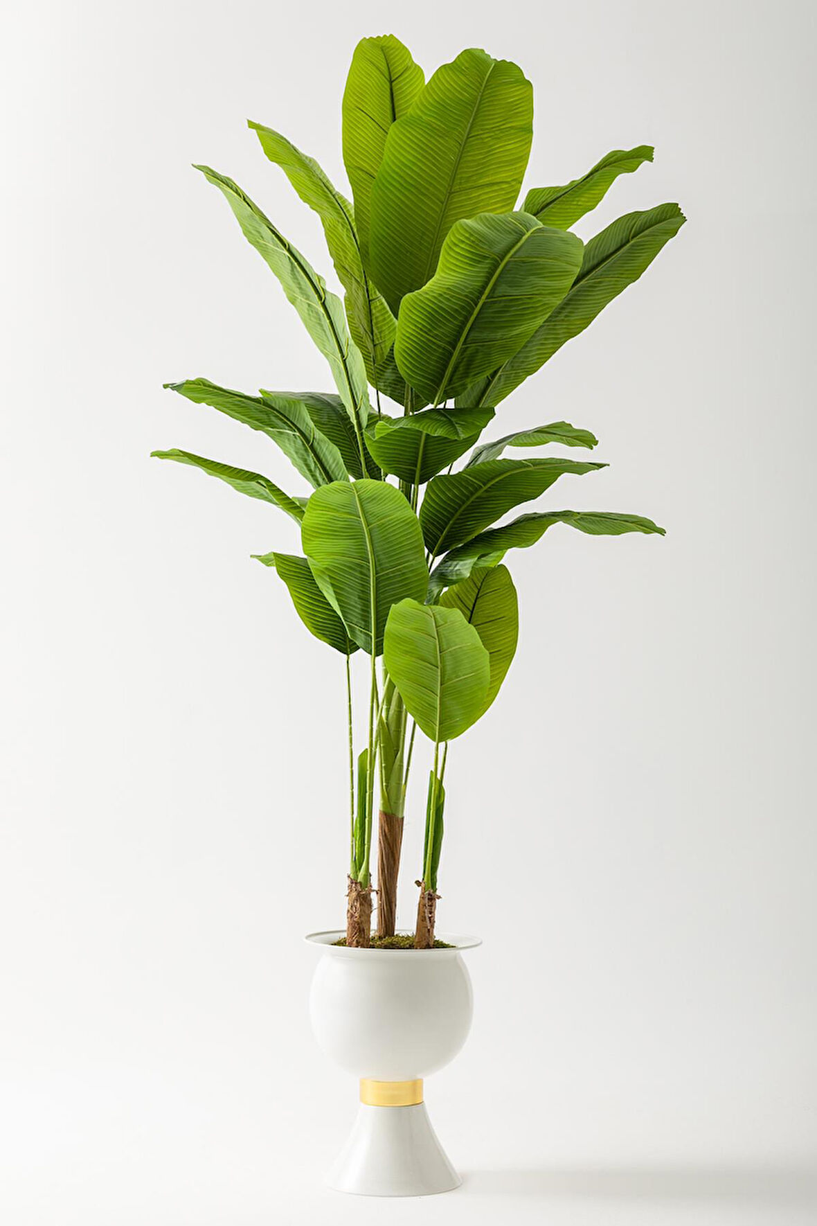 Yapay Muz Ağacı 220 Cm 20 Yaprak Beyaz Balon Saksı