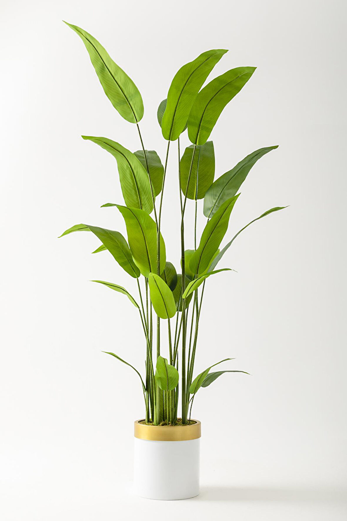 Yapay Starliçe Ağacı 200 Cm Beyaz Gold Metal Saksı