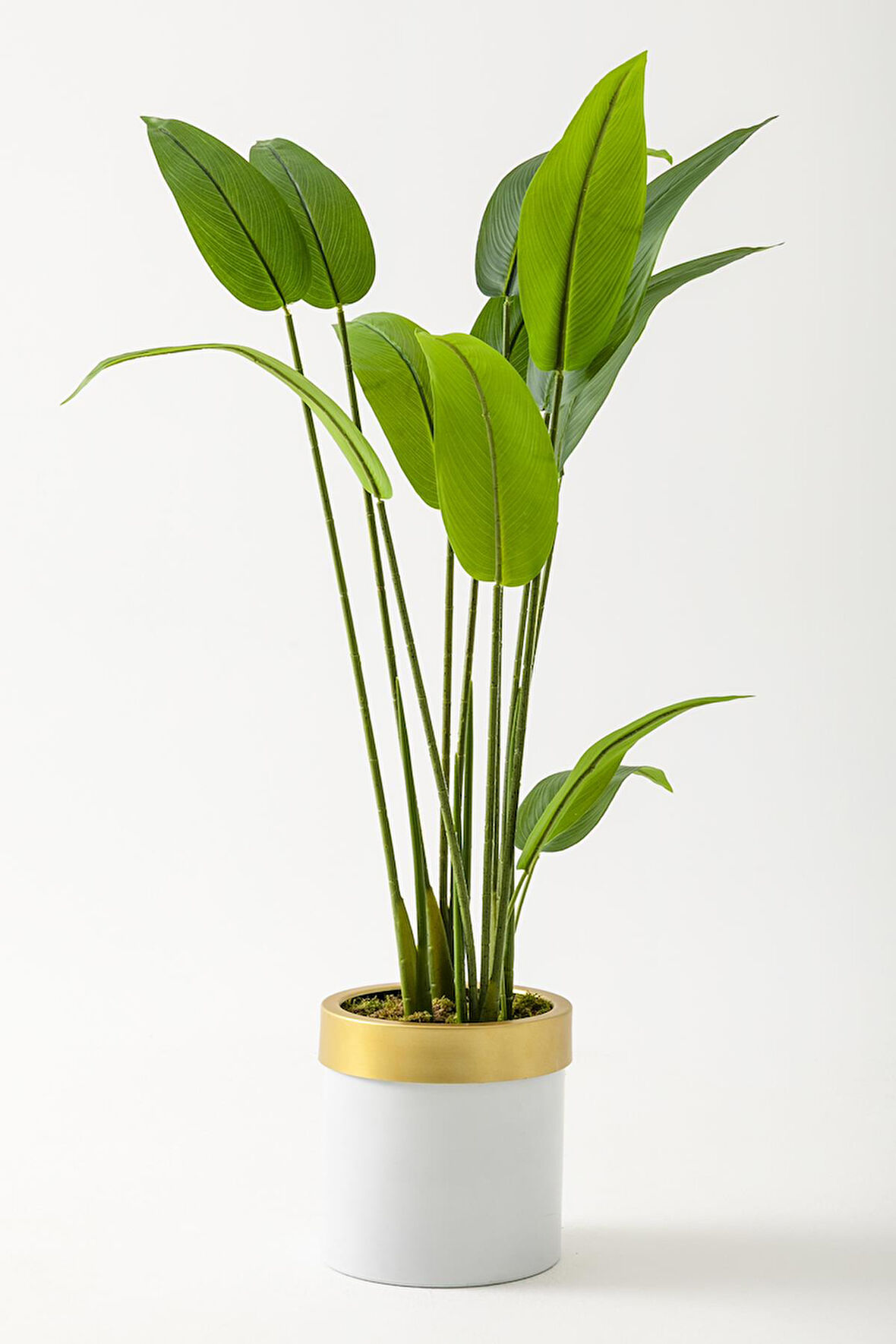 Yapay Starliçe Ağacı 120 Cm Beyaz Gold Saksı