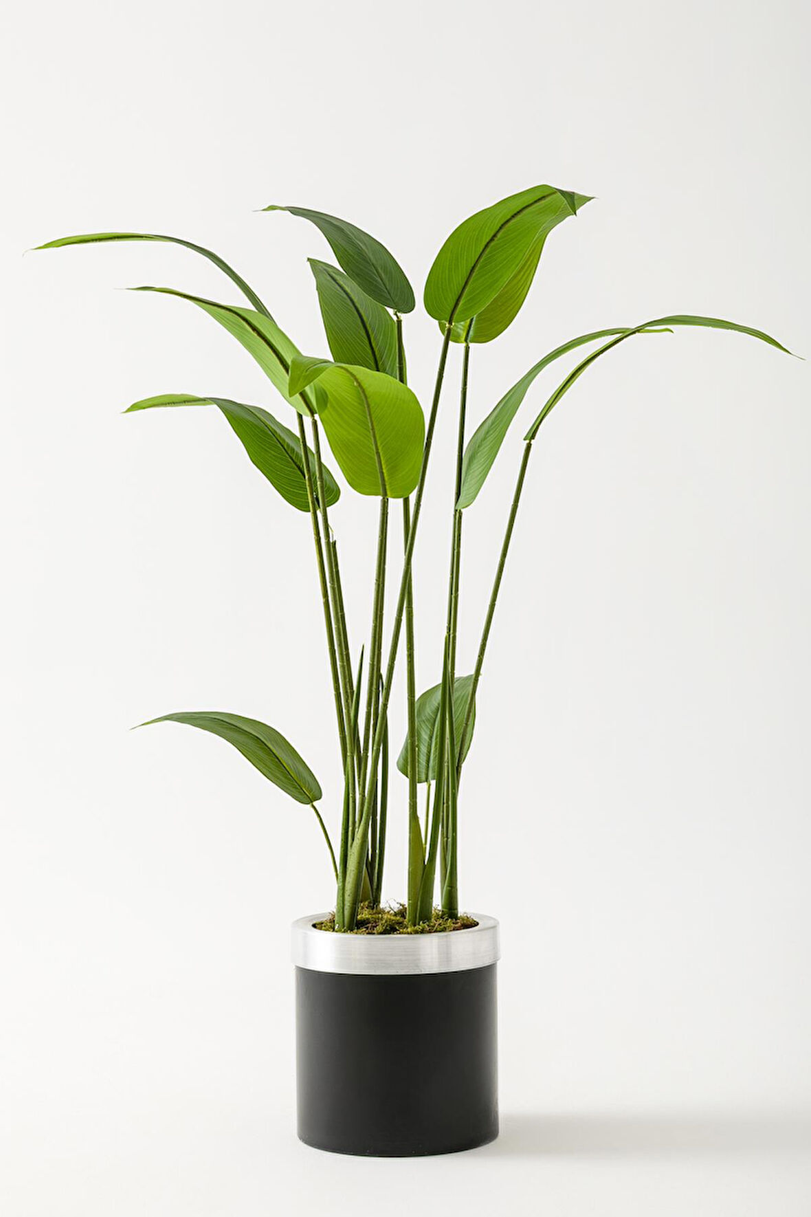 Yapay Starliçe Ağacı 120 Cm Siyah Gümüş Saksı