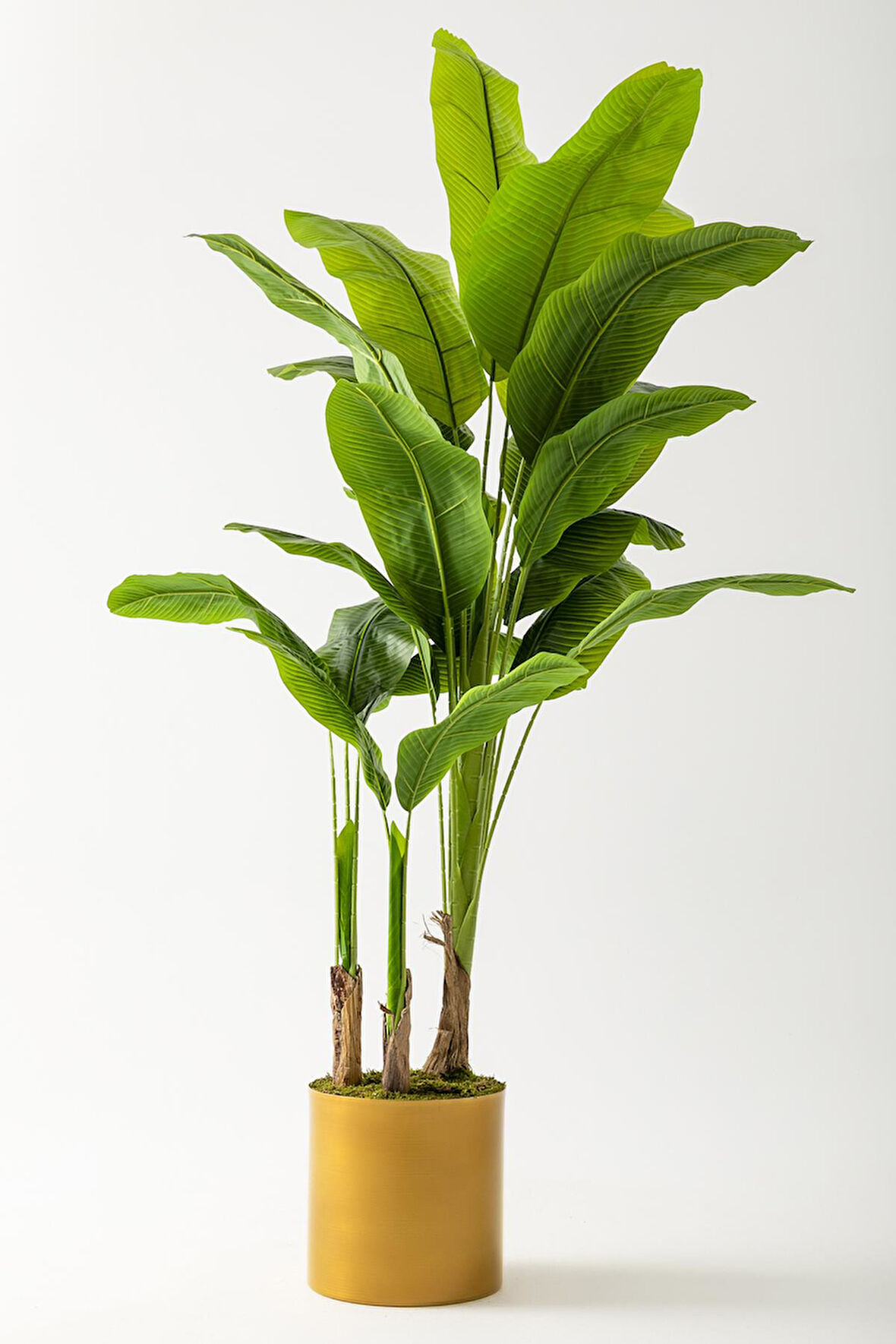 Yapay Muz Ağacı 180 Cm Gold Metal Saksı