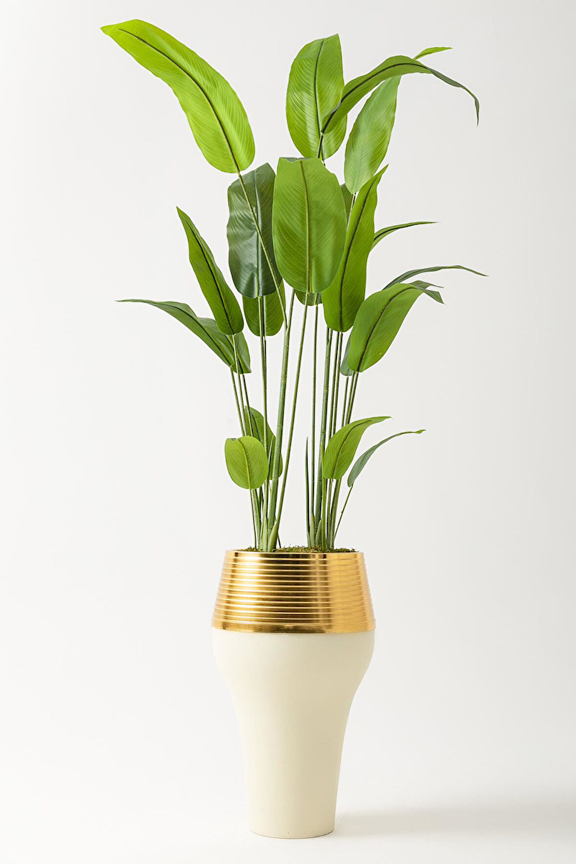 Yapay Starliçe Ağacı 230 Cm Krem Gold Damla Saksı