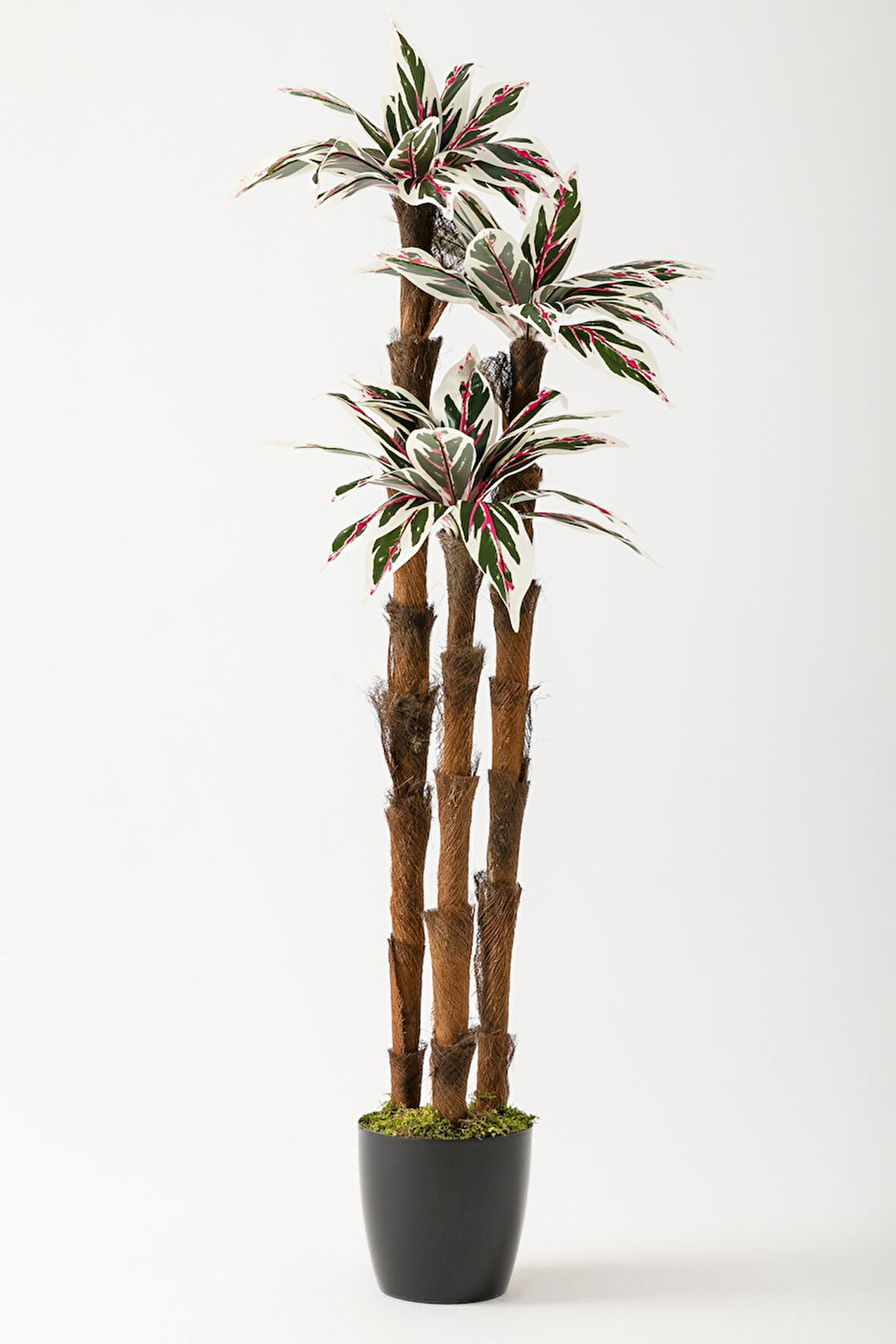 Yapay Kılıç Ağacı 150 Cm 54 Dal Pembe Yeşil