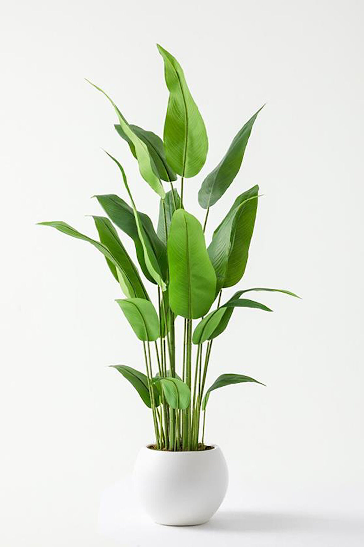 Yapay Starliçe Ağacı 160 Cm Küre Plastik Saksı