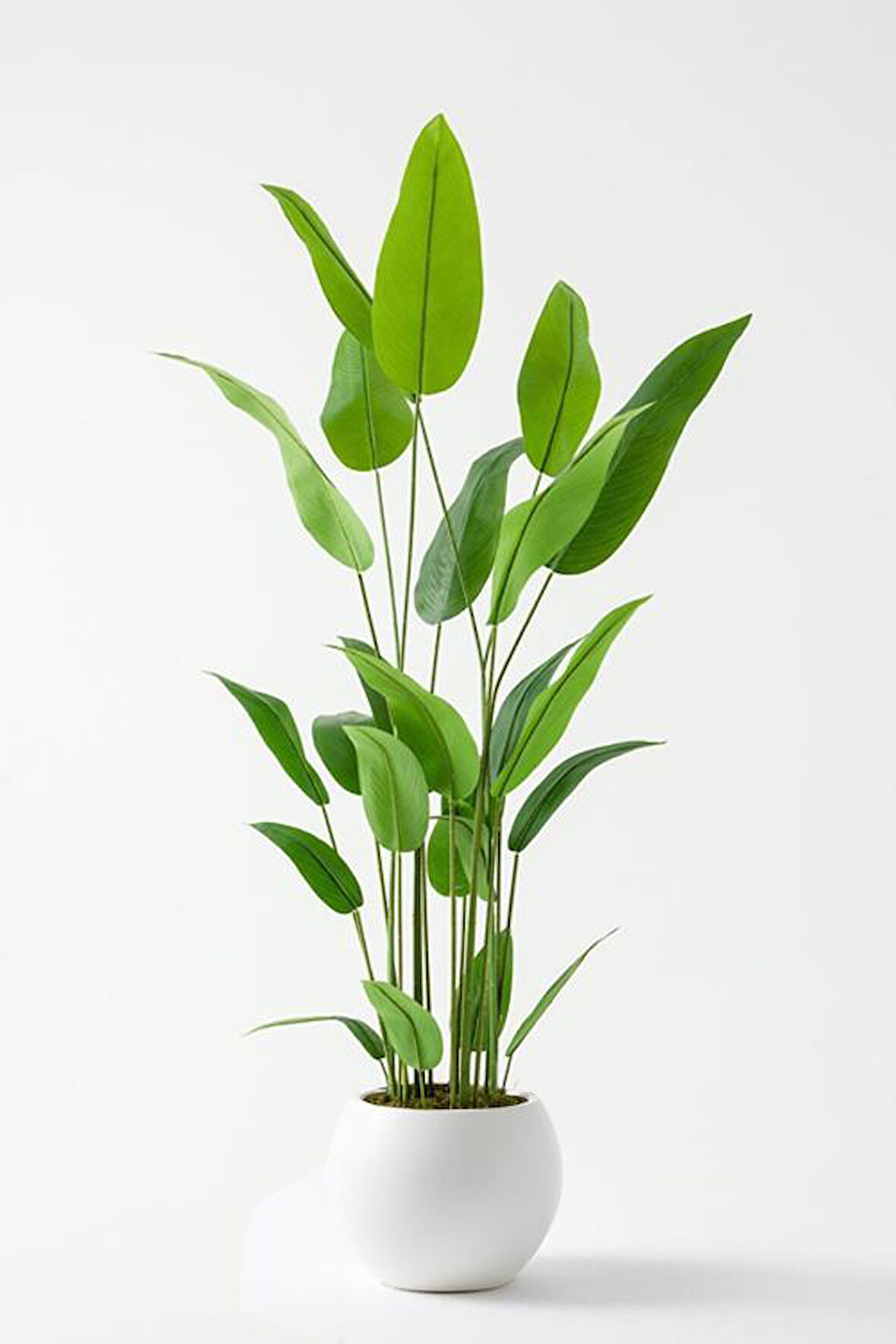 Yapay Starliçe Ağacı 200 Cm Plastik Küre Saksı