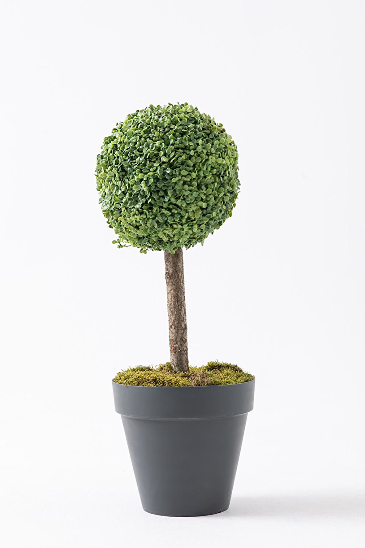 Yapay Top Şimşir Ağacı Tekli 70 Cm