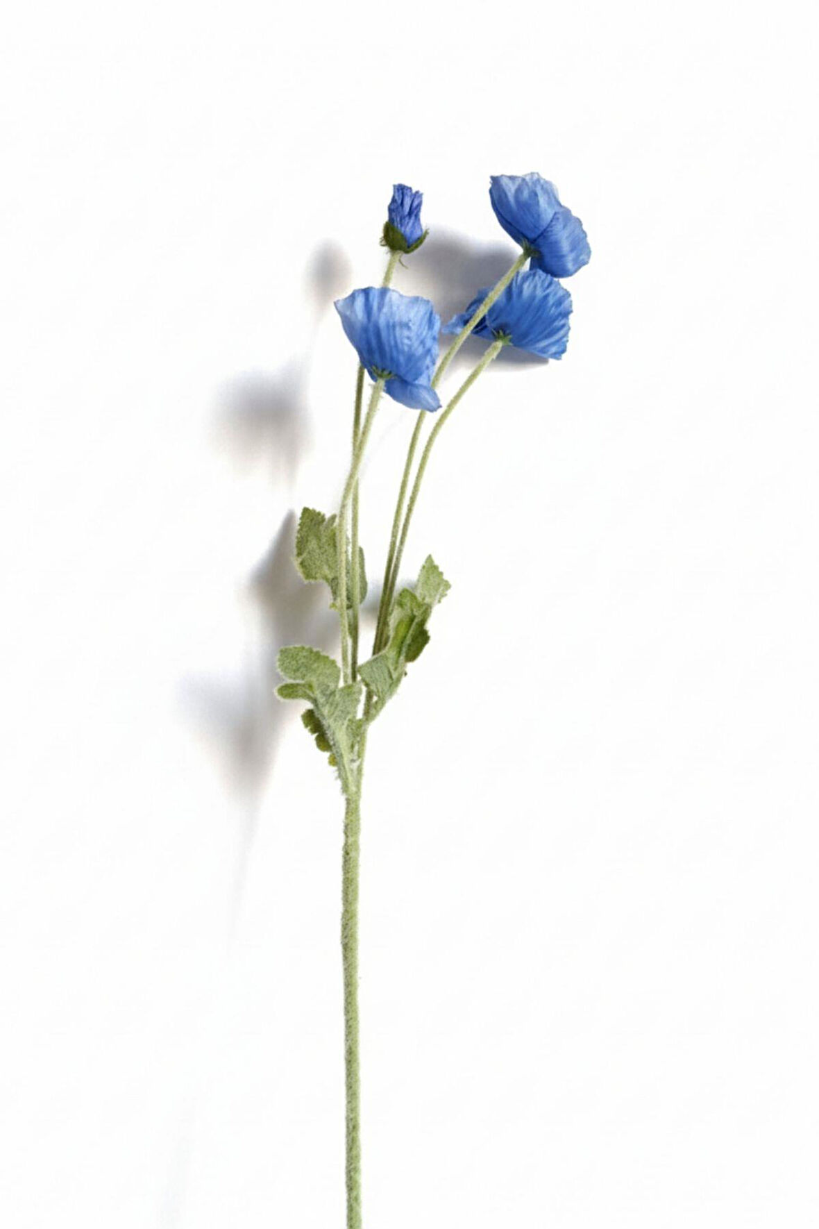 Yapay Gelincik Çiçeği 60 Cm Tek Dal Mavi