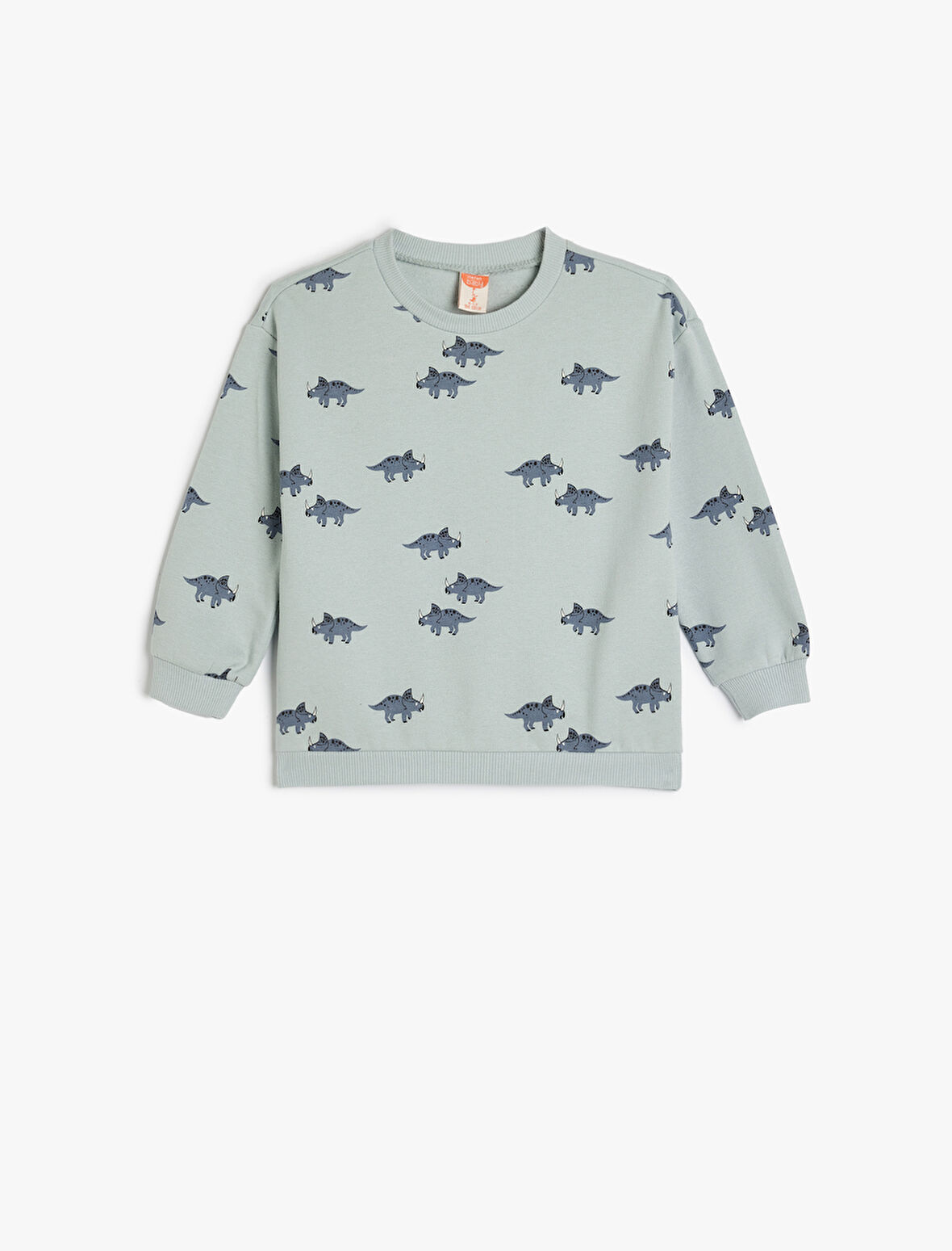Dinozor Baskılı Bisiklet Yaka Pamuklu Şardonlu Sweatshirt 