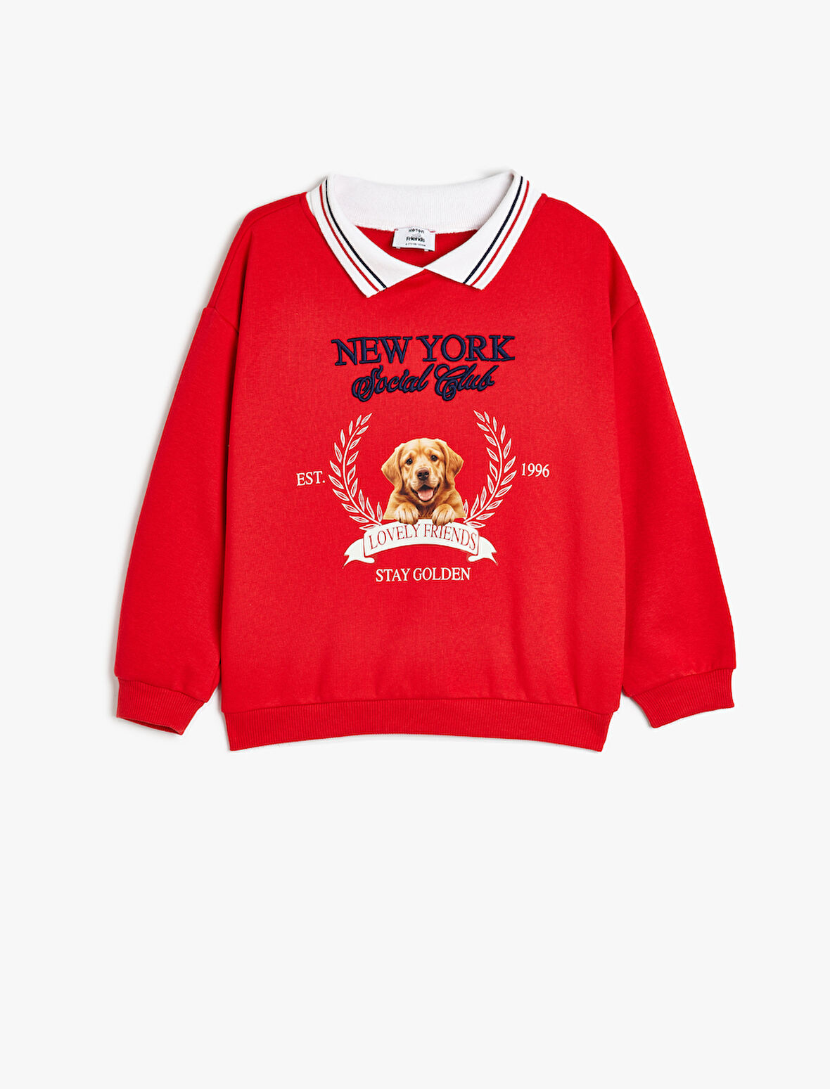 Polo Yaka Sweatshirt Köpek Baskılı Uzun Kollu Şardonlu 