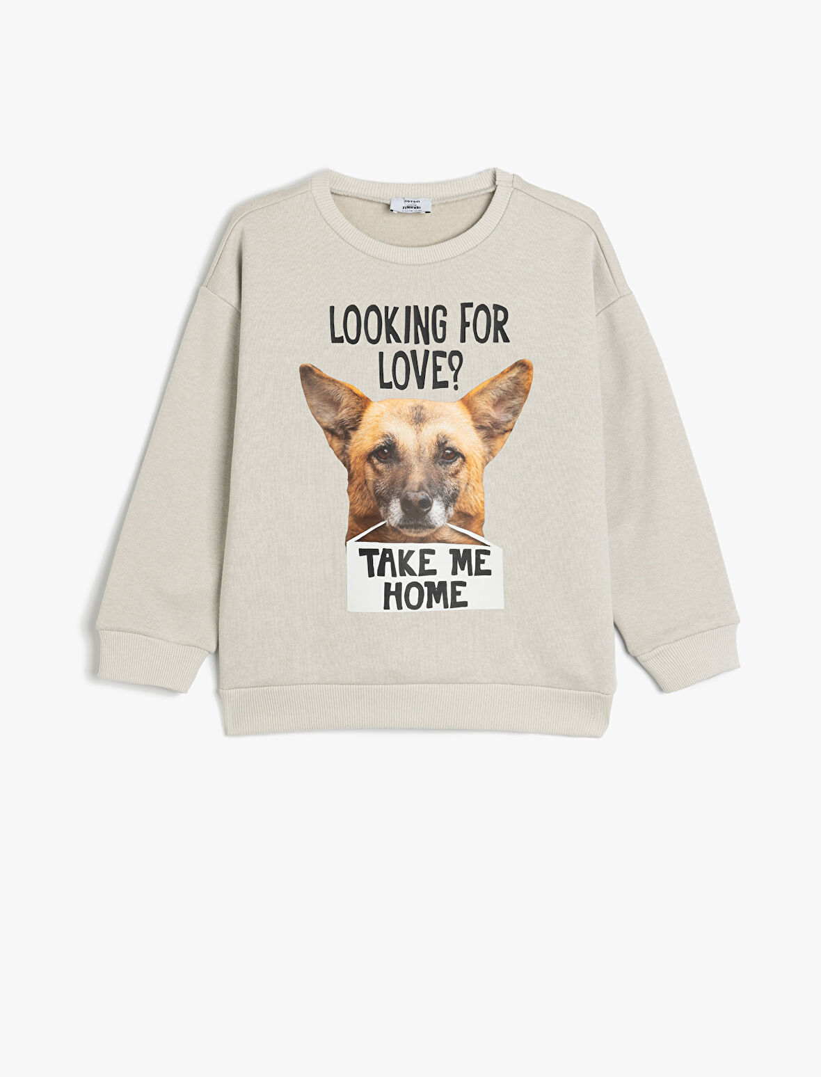 Oversize Sweatshirt Uzun Kollu Bisiklet Yaka Köpek Baskı Detaylı Şardonlu