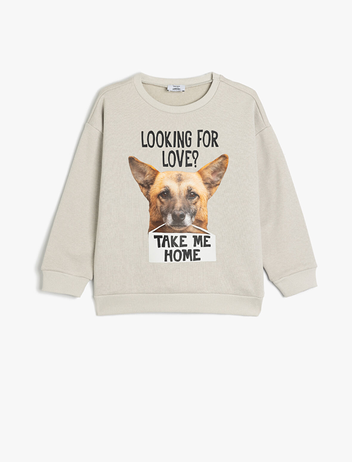 Oversize Sweatshirt Uzun Kollu Bisiklet Yaka Köpek Baskı Detaylı Şardonlu