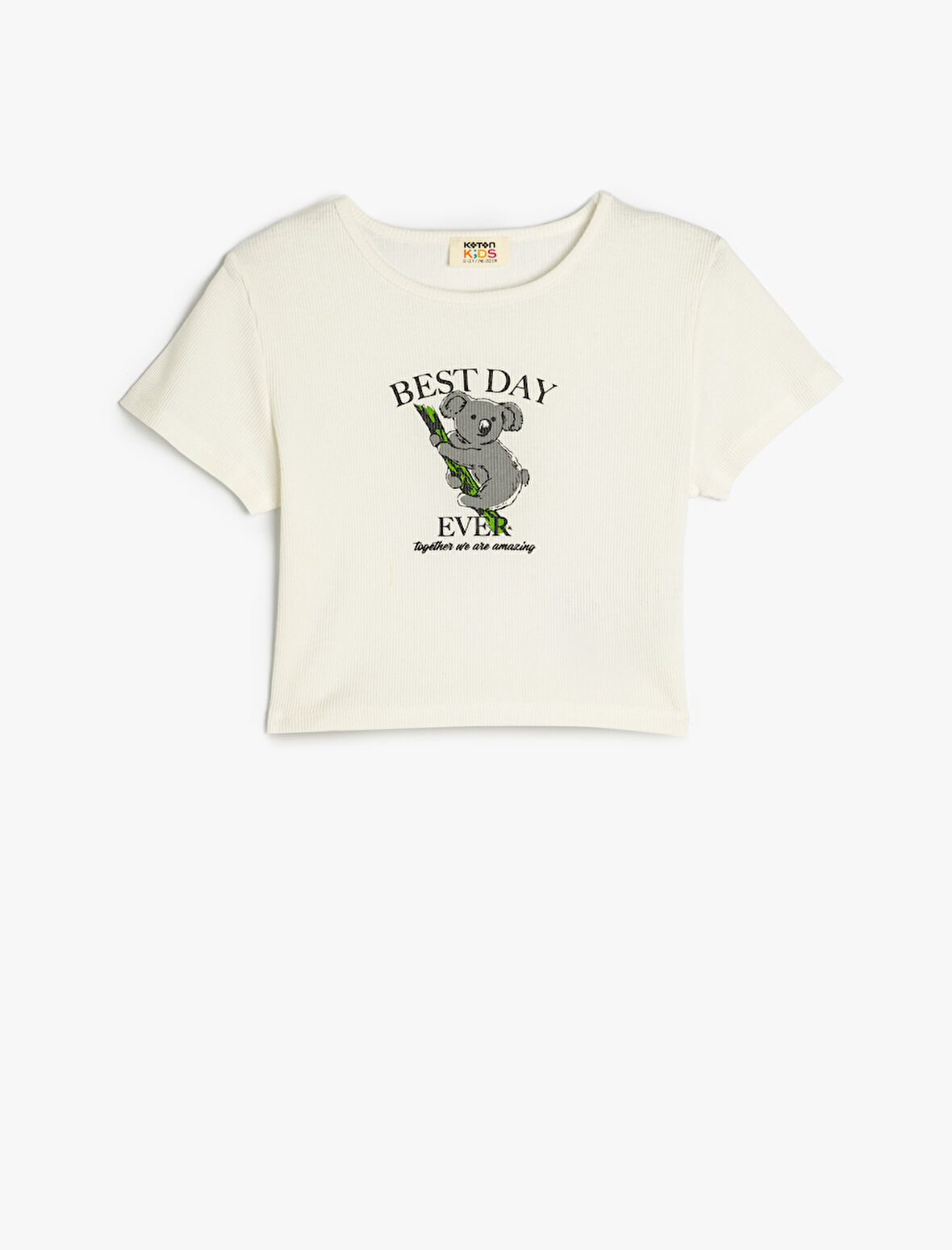 Bisiklet Yaka Kısa Kollu Koala Baskı Detaylı Pamuklu Crop Tişört