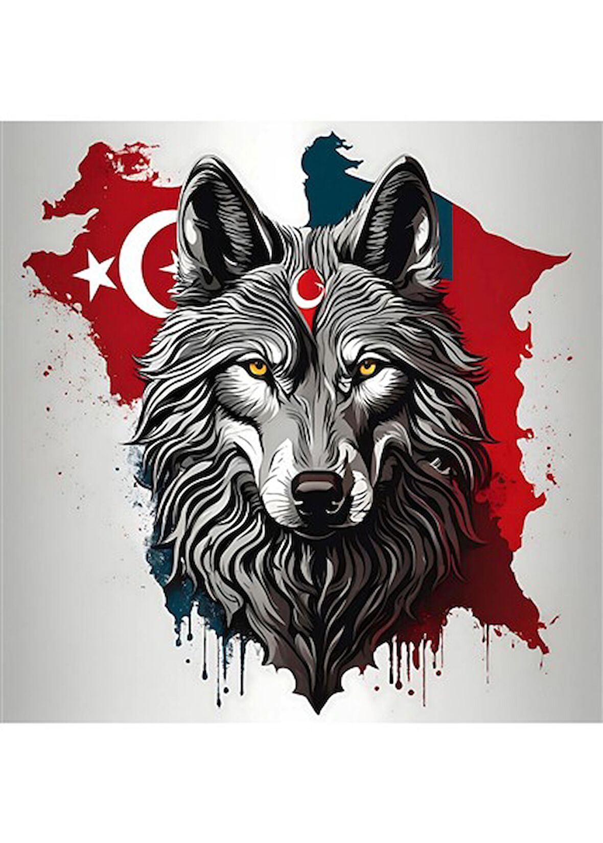 ASİL KURT 21 50X50CM PVC ÇERÇEVESİZ TABLO