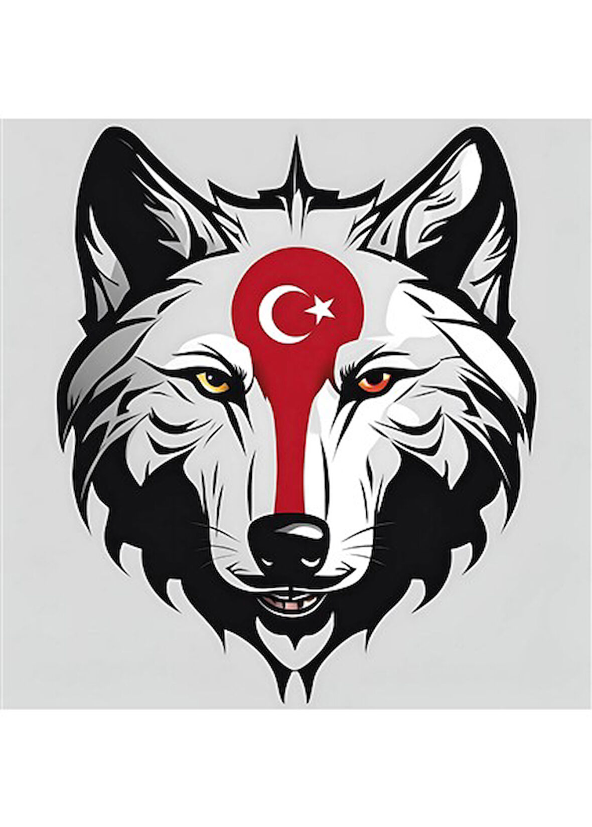 ASİL KURT 22 50X50CM PVC ÇERÇEVESİZ TABLO