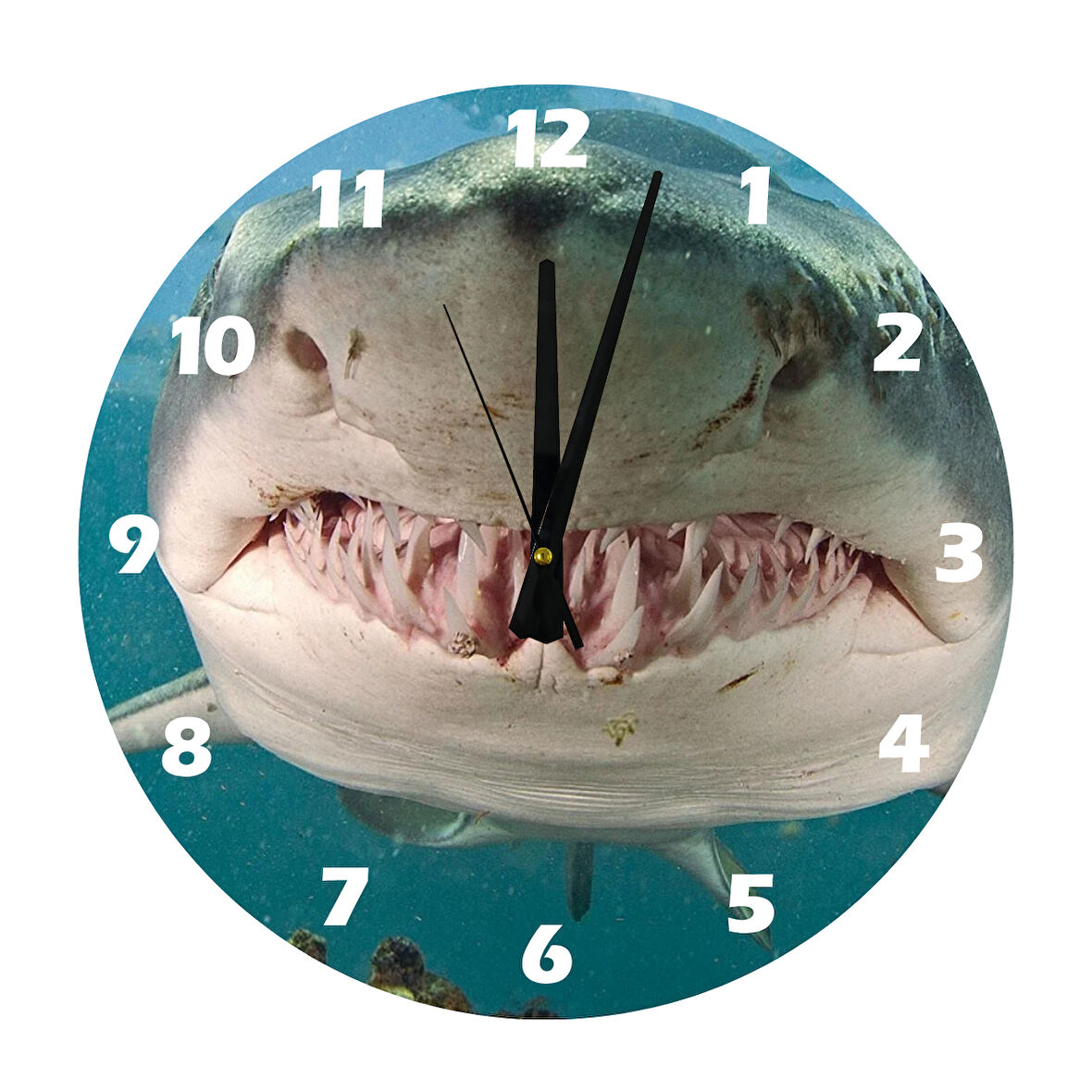 Tİ-PLAY MEGALODON 30X30CM AKRİLİK DEKORATİF MODERN DUVAR SAATİ