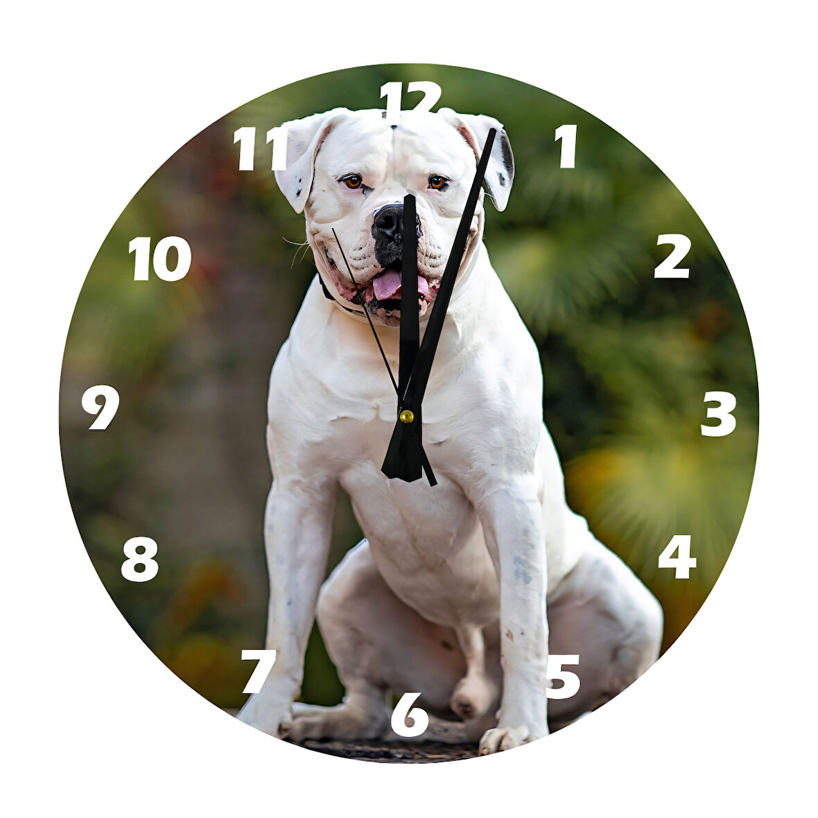 Tİ-PLAY DOGO 30X30CM AKRİLİK DEKORATİF MODERN DUVAR SAATİ