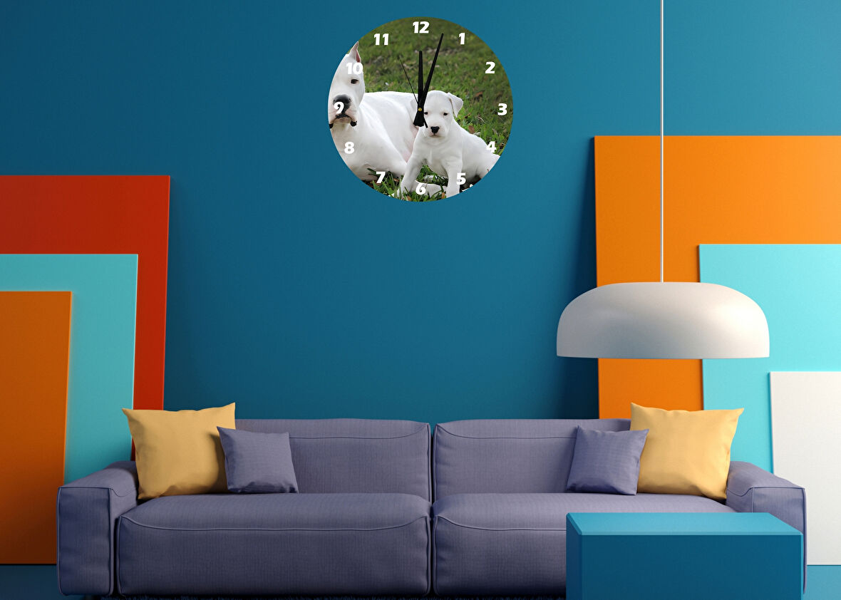 Tİ-PLAY DOGO VE YAVRUSU 30X30CM AKRİLİK DEKORATİF MODERN DUVAR SAATİ