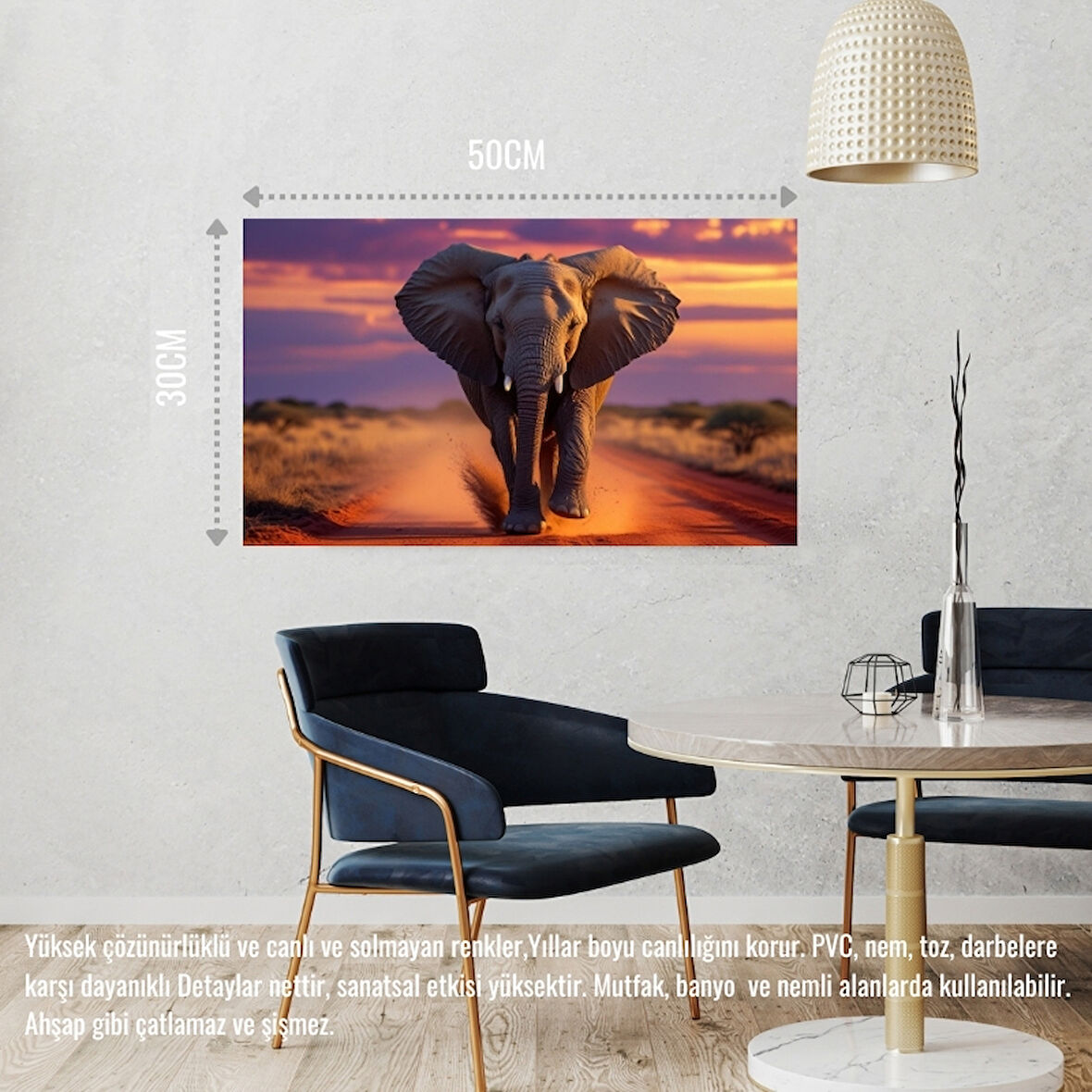 VAHŞİ DOĞADA KOŞAN FİL 01 ÇERÇEVESİZ 50X30 CM PVC TABLO