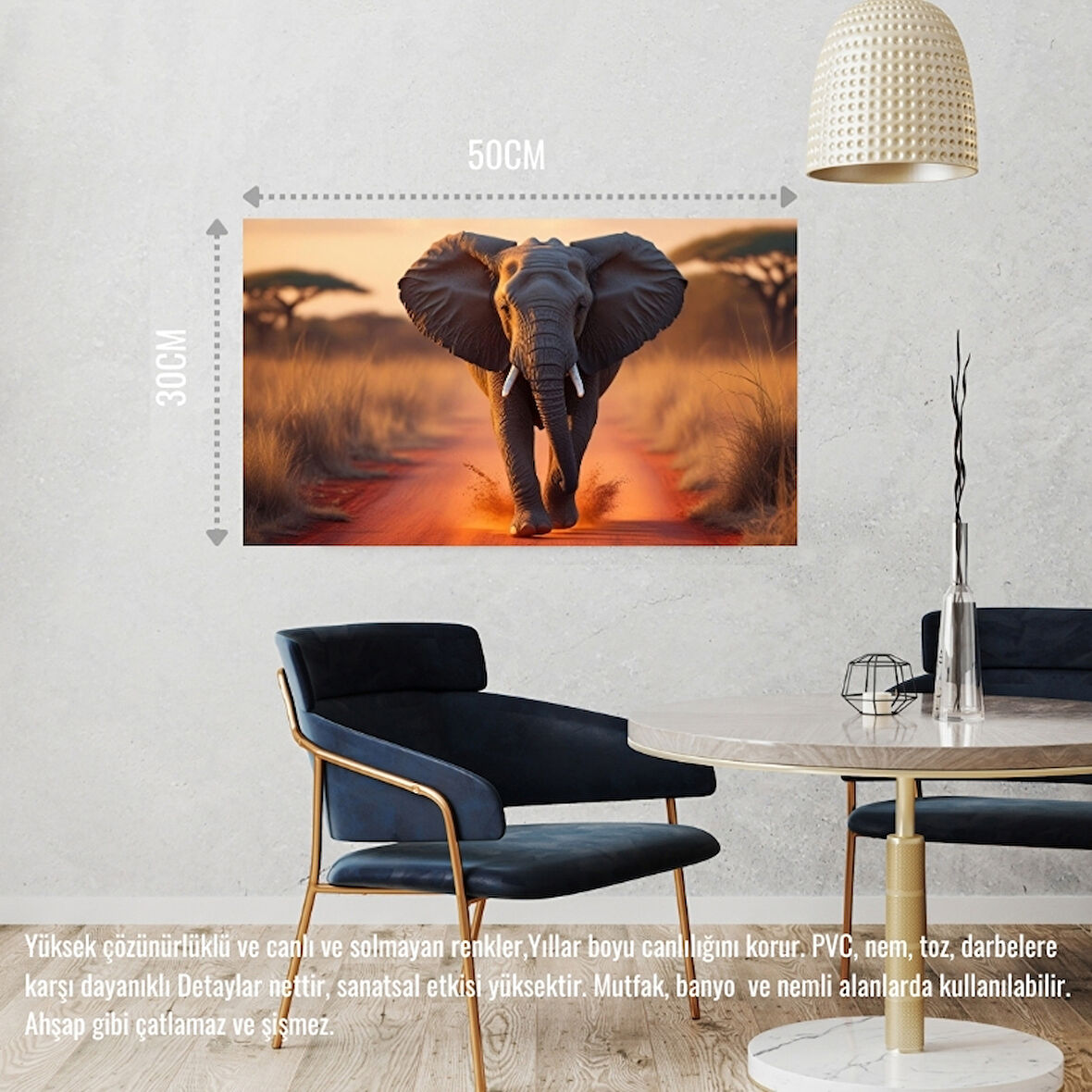 VAHŞİ DOĞADA KOŞAN FİL 02 ÇERÇEVESİZ 50X30 CM PVC TABLO